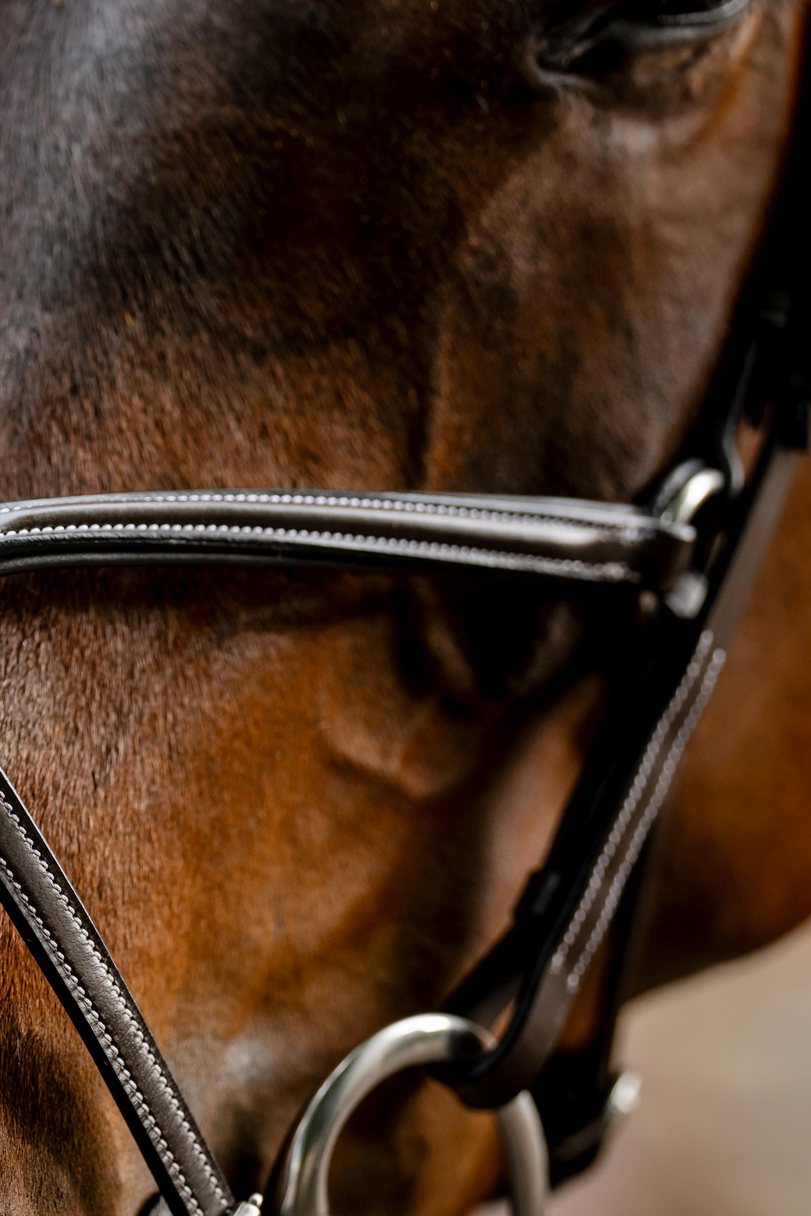 Horseware briglia con capezzina a otto