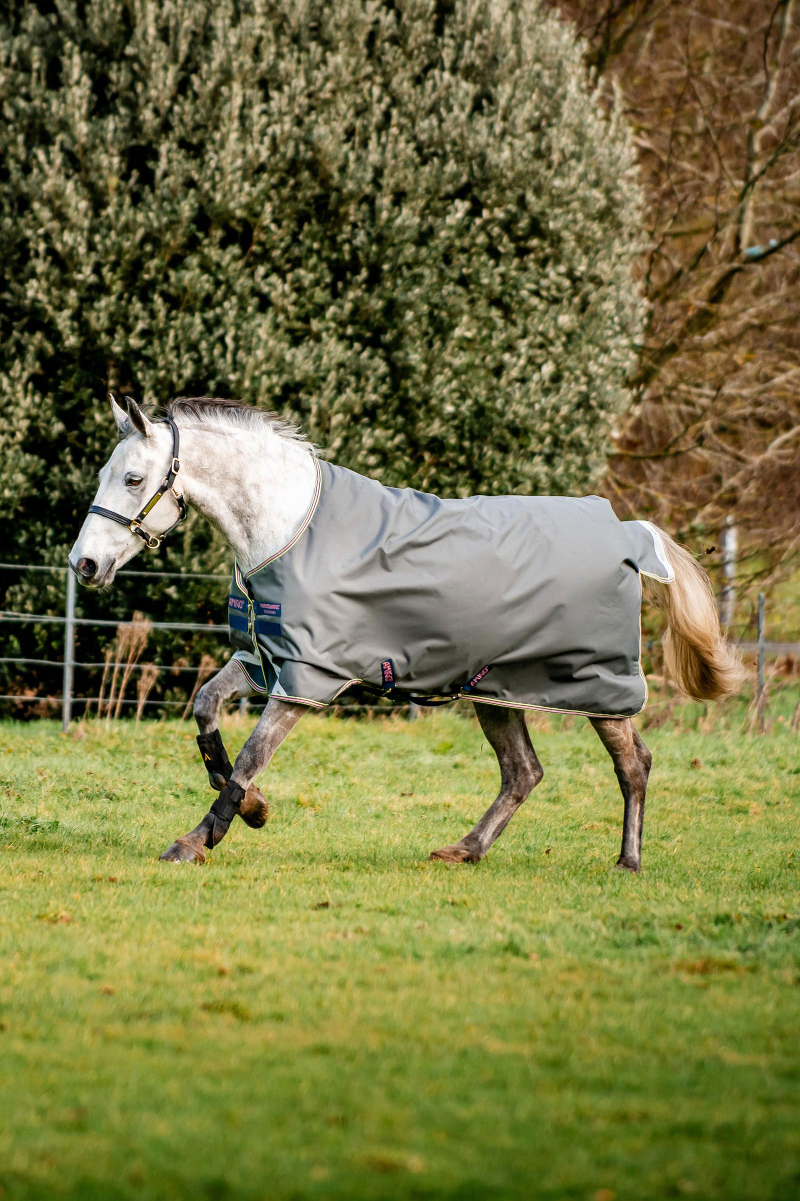Horseware Amigo Bravo 12 coperta da paddock, 0 g
