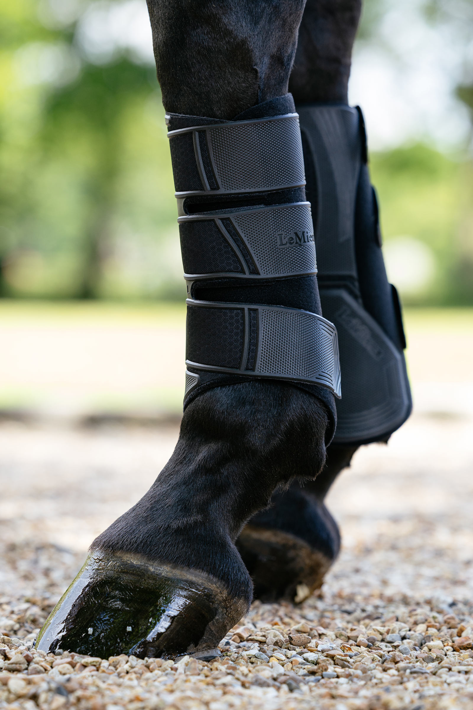 Black LeMieux Technical stinchiere dressage