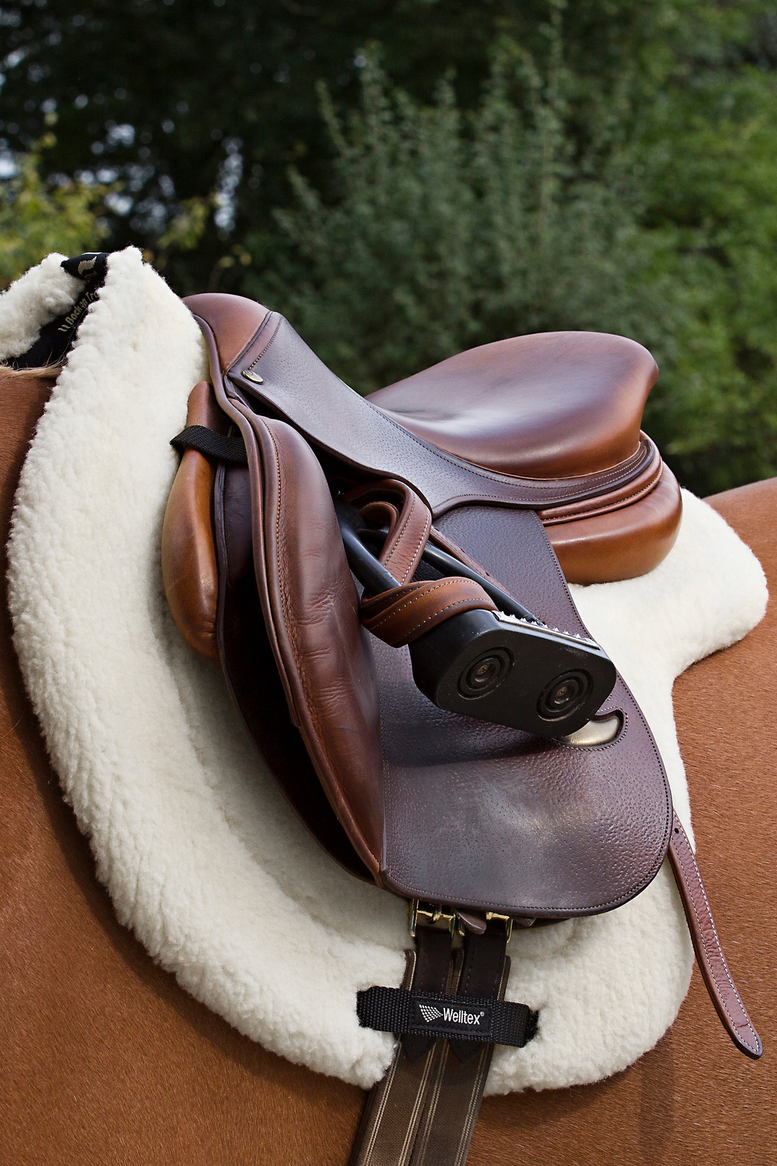 Back on Track Sottosella "Teddy"