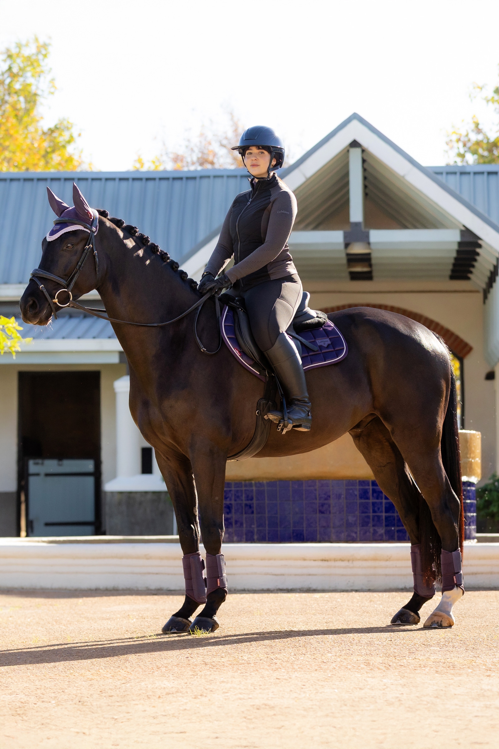 LeMieux Merino+ Loire sottosella classico Close Contact