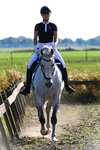 F.R.A. Freedom Riding Articles Calli briglia Hackamore con redini (Sistema 2)