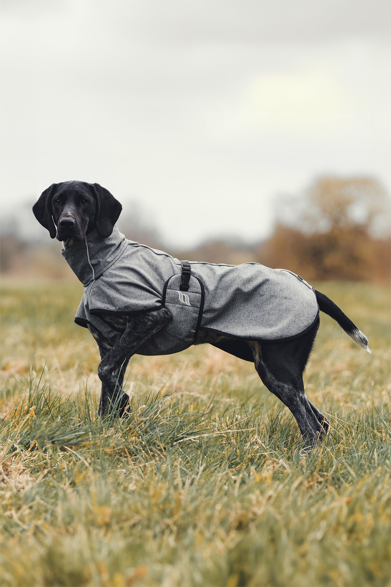 Back on Track Bark Cappottino per cani, 40-50 cm