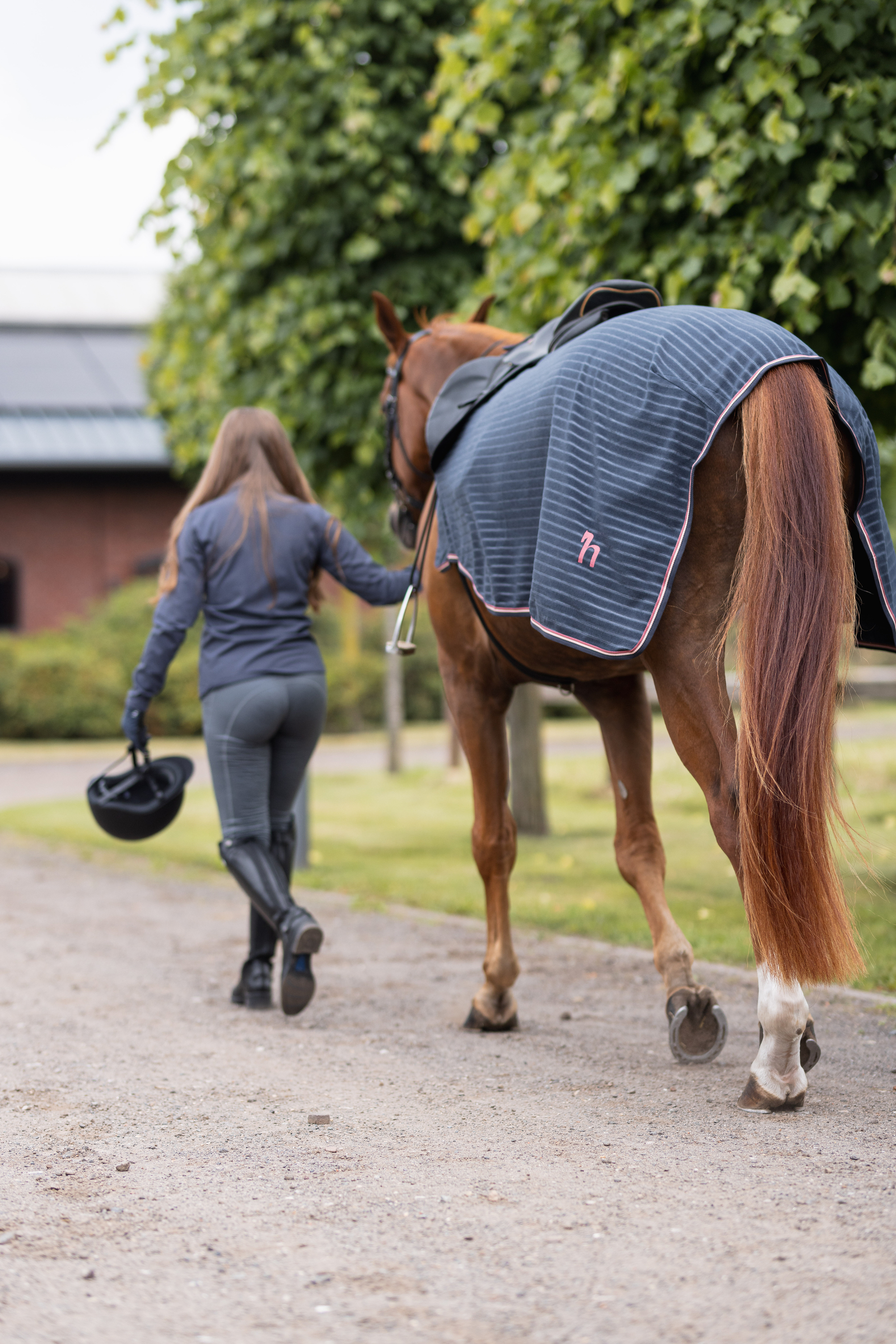 Ink Navy suits You and your Horse