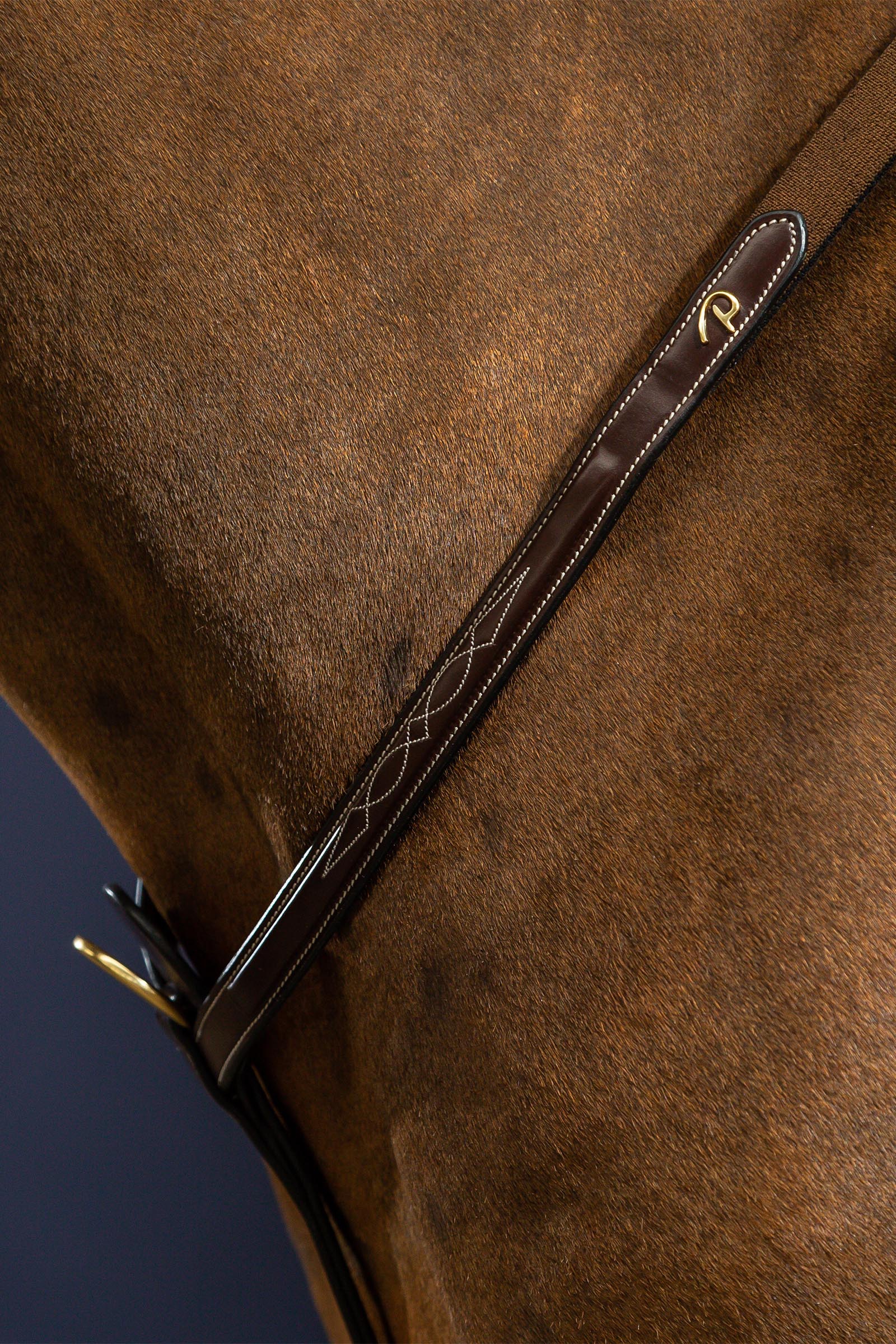 Dy'on D Collection pettorale con ponte