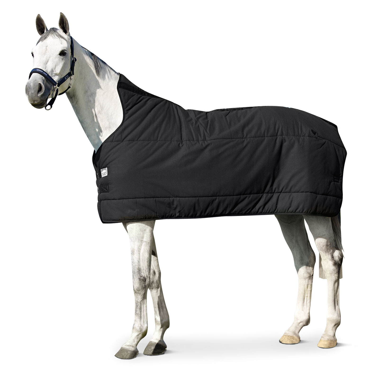 Eskadron Telo SOTTOCOPERTA 240 g