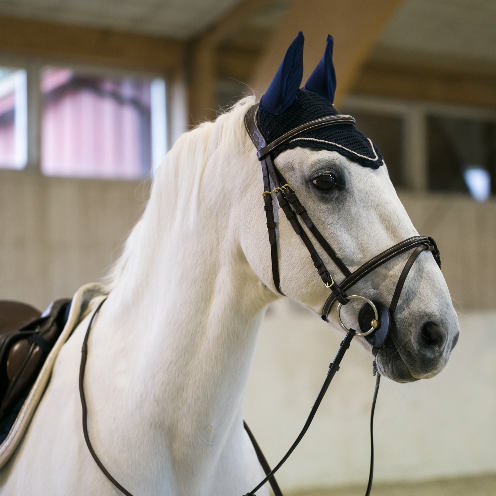 B Retina per orecchie Vertigo Sam