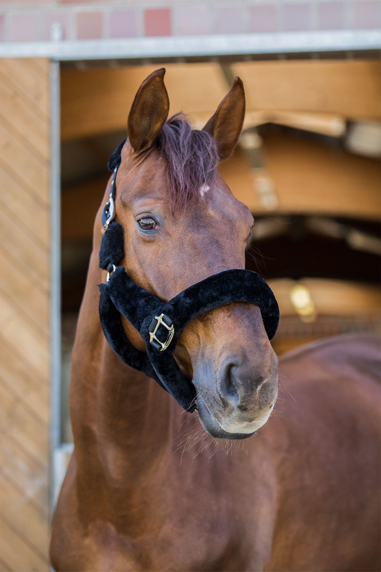 Back on Track Audrey cavezza