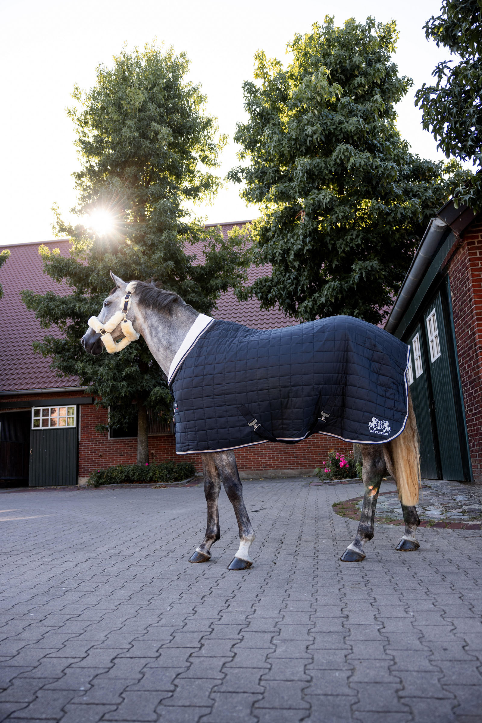 B Vertigo Theo Coperta da scuderia, 150 gr