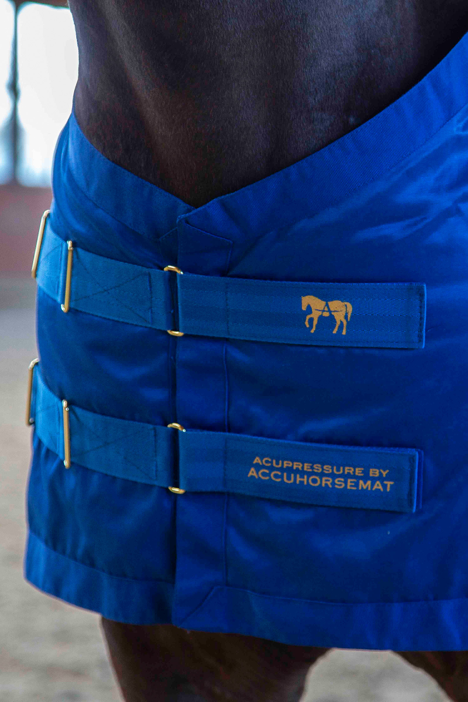 Set Accuhorsemat Original