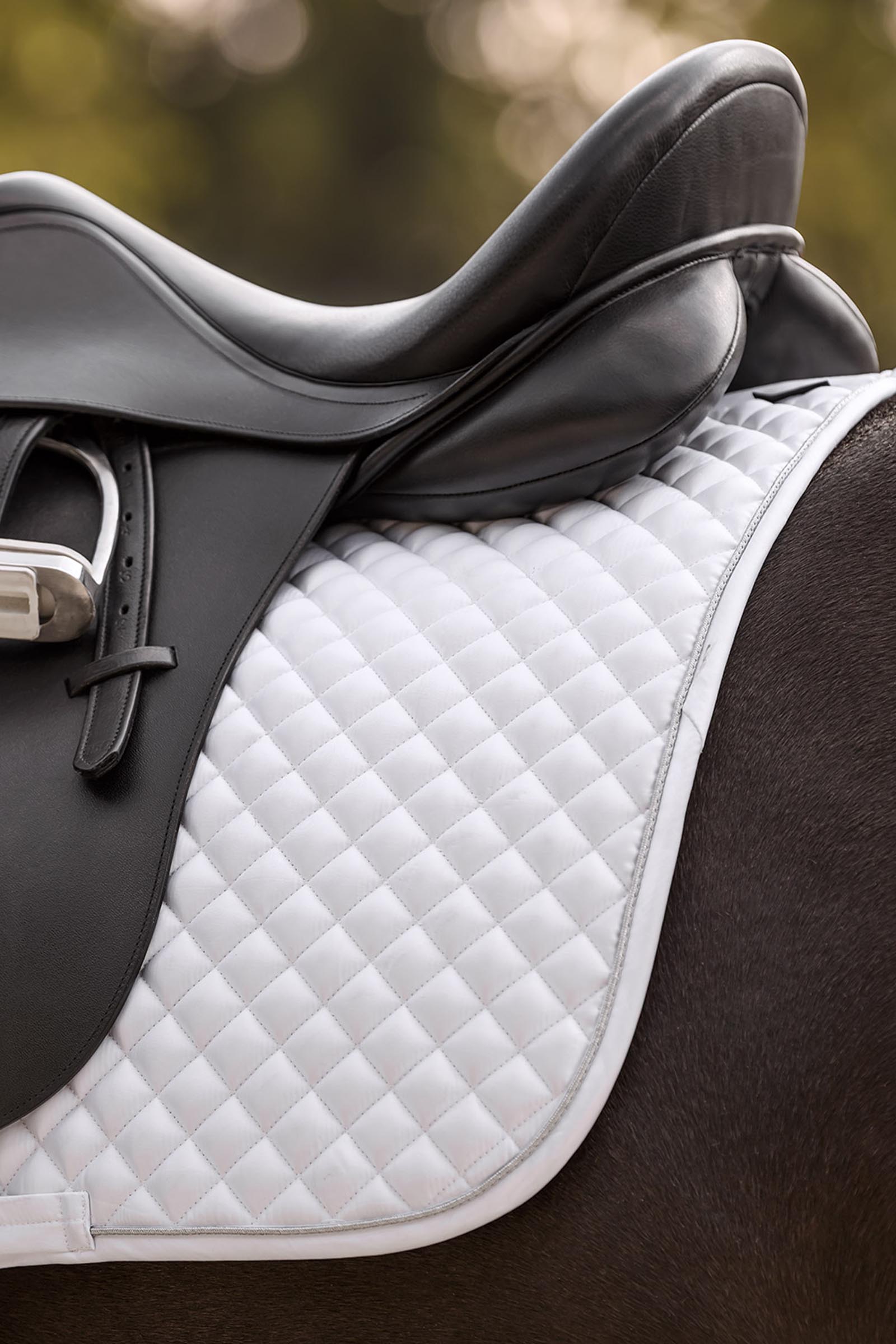 Waldhausen Felix Glam sottosella dressage
