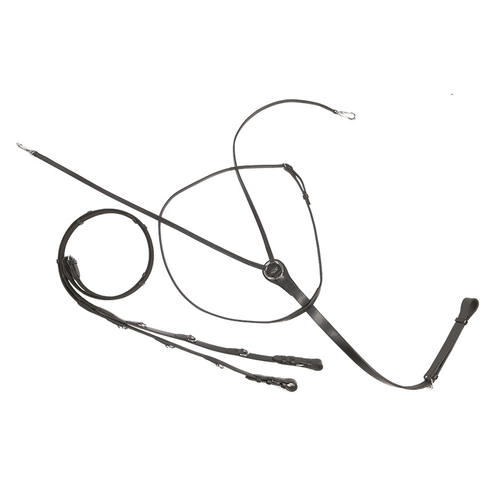 Kavalkade Market Harborough martingala