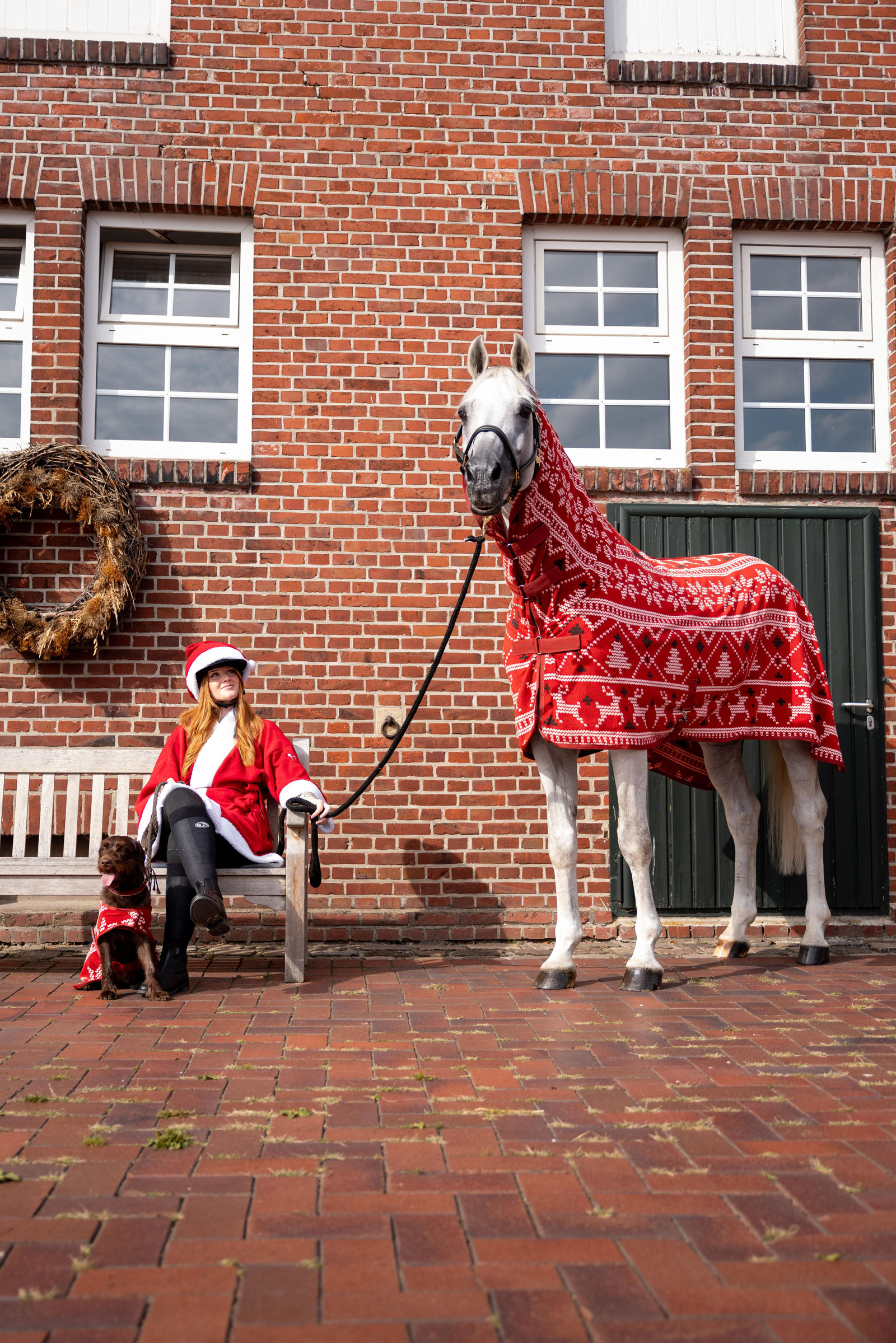 Horze pullover natalizio per cavalli