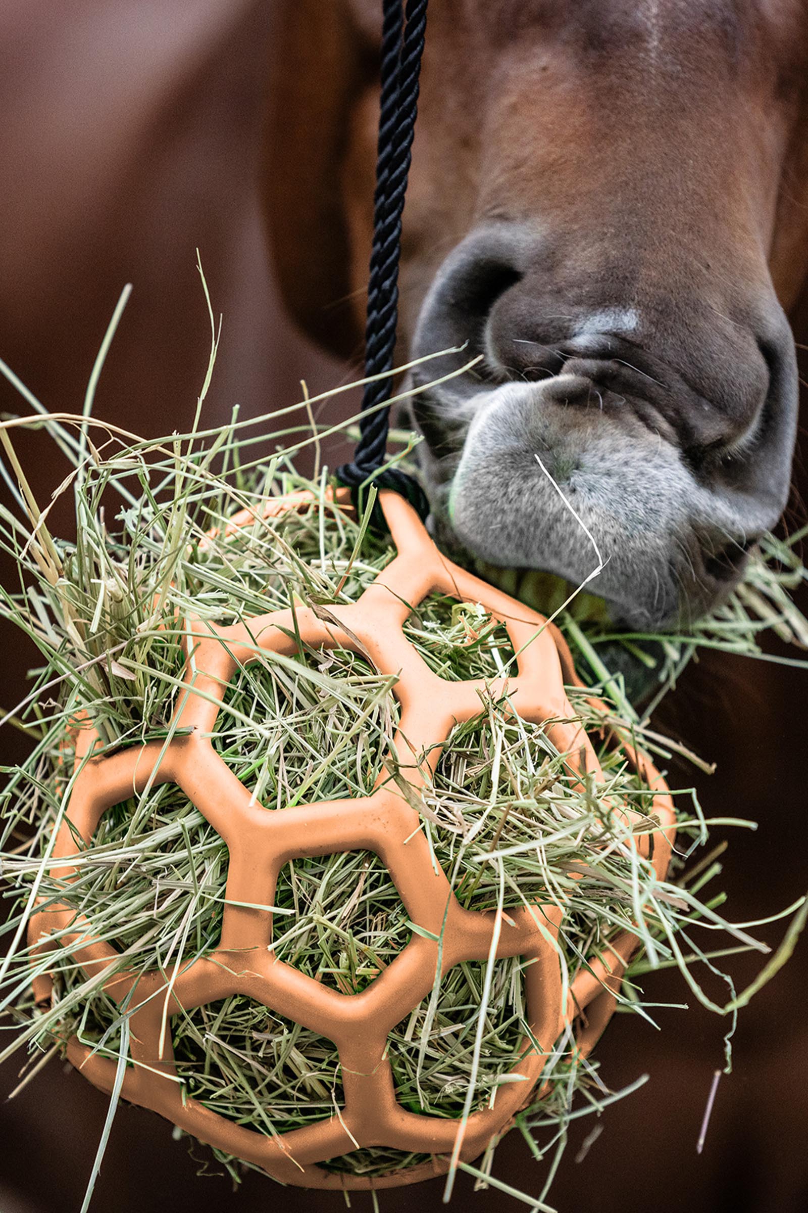 Peach Waldhausen palla per fieno