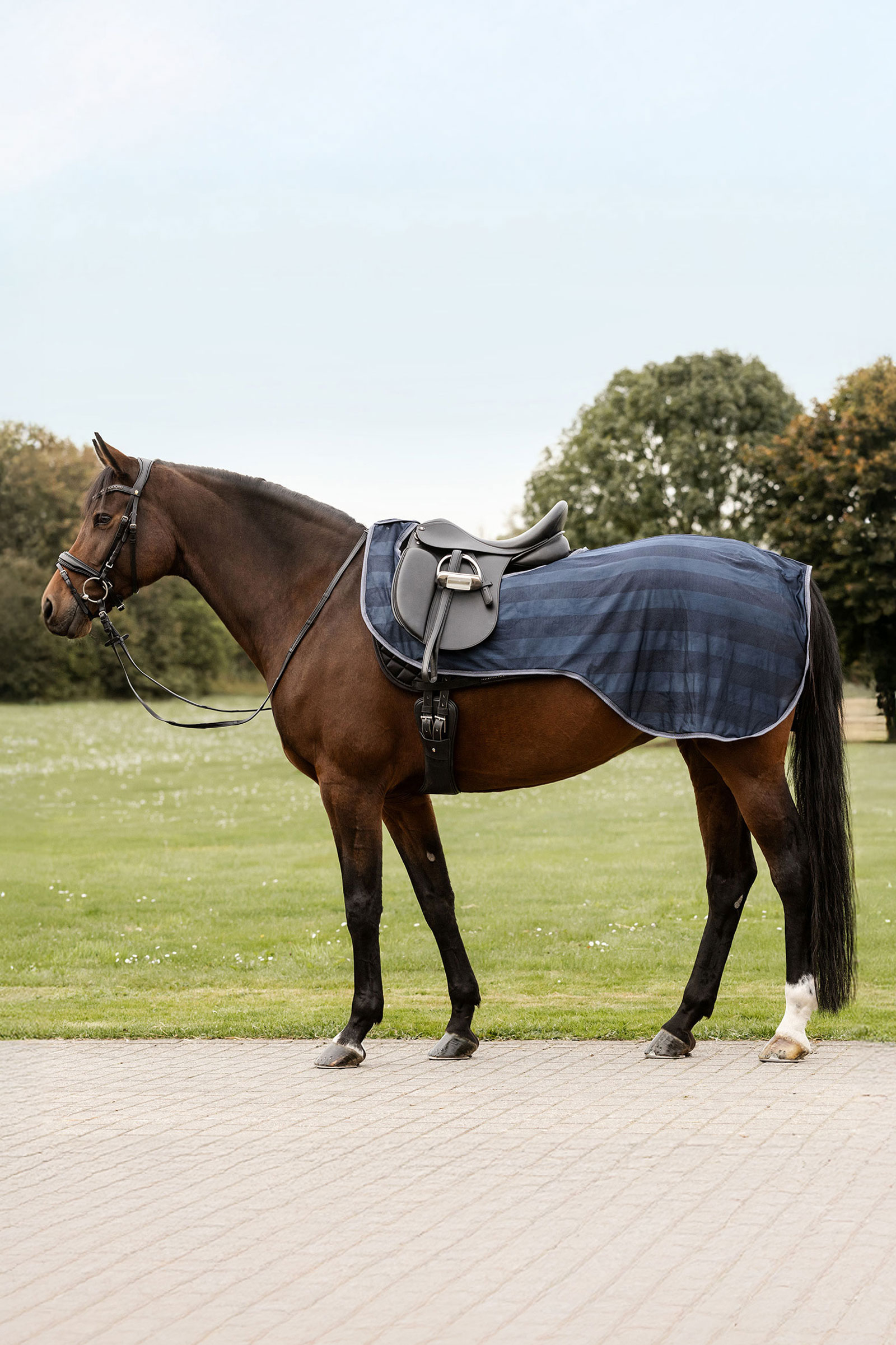 Night Blue Waldhausen Economic coperta anti-mosche da esercizio