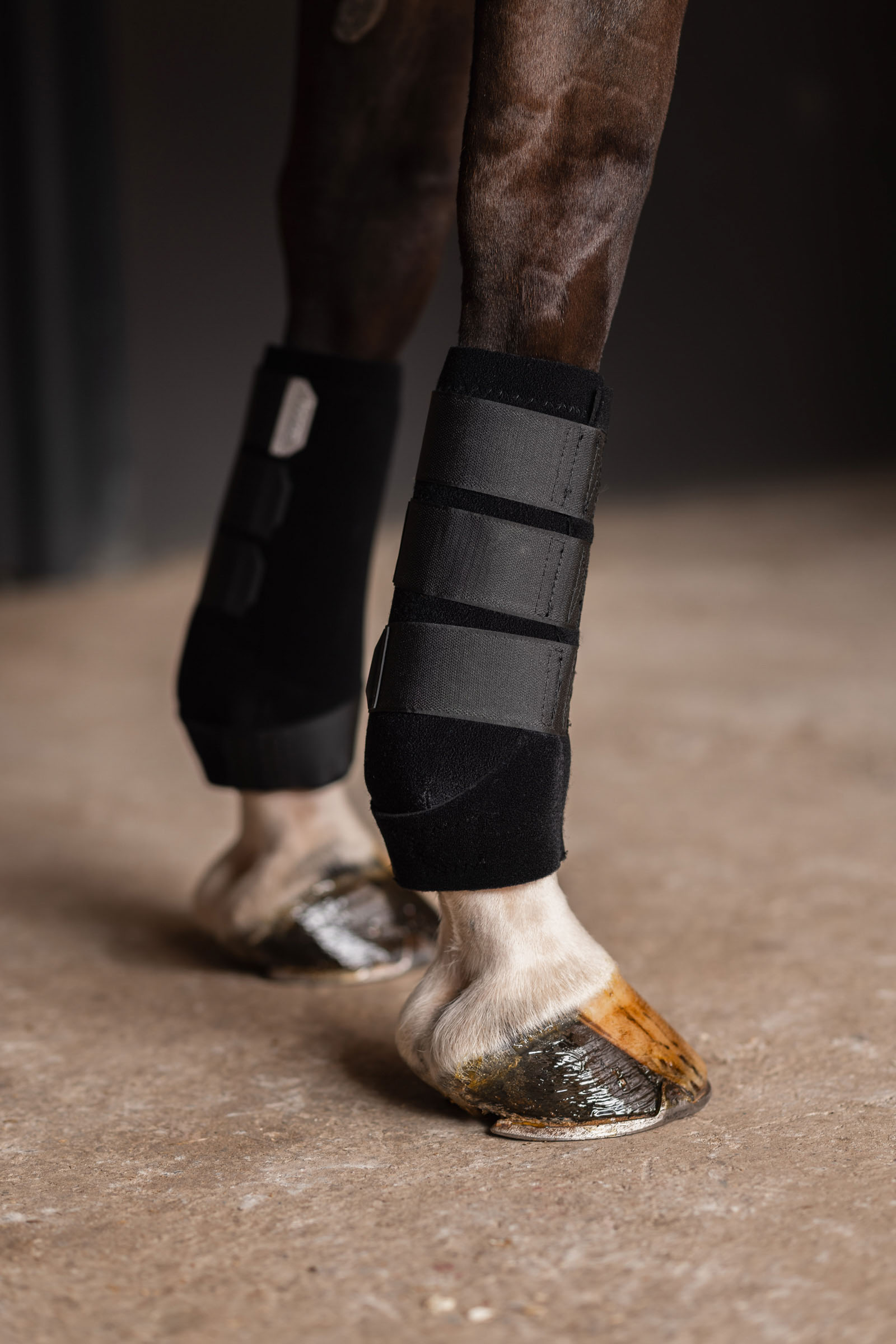 Stivali Horze ProSoft, anteriori