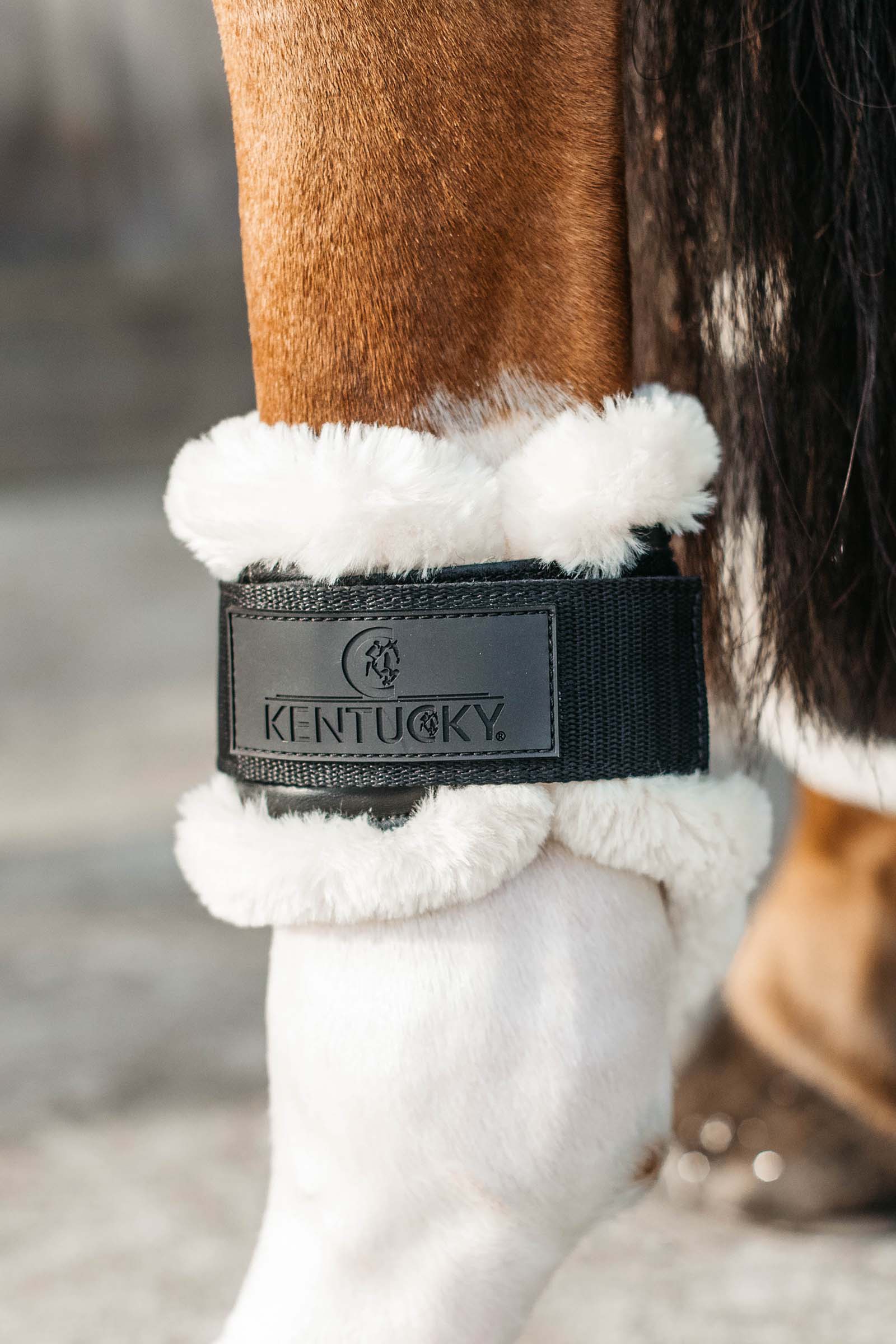 Kentucky Horsewear Stivali paranocche in pelle vegana per cavalli giovani