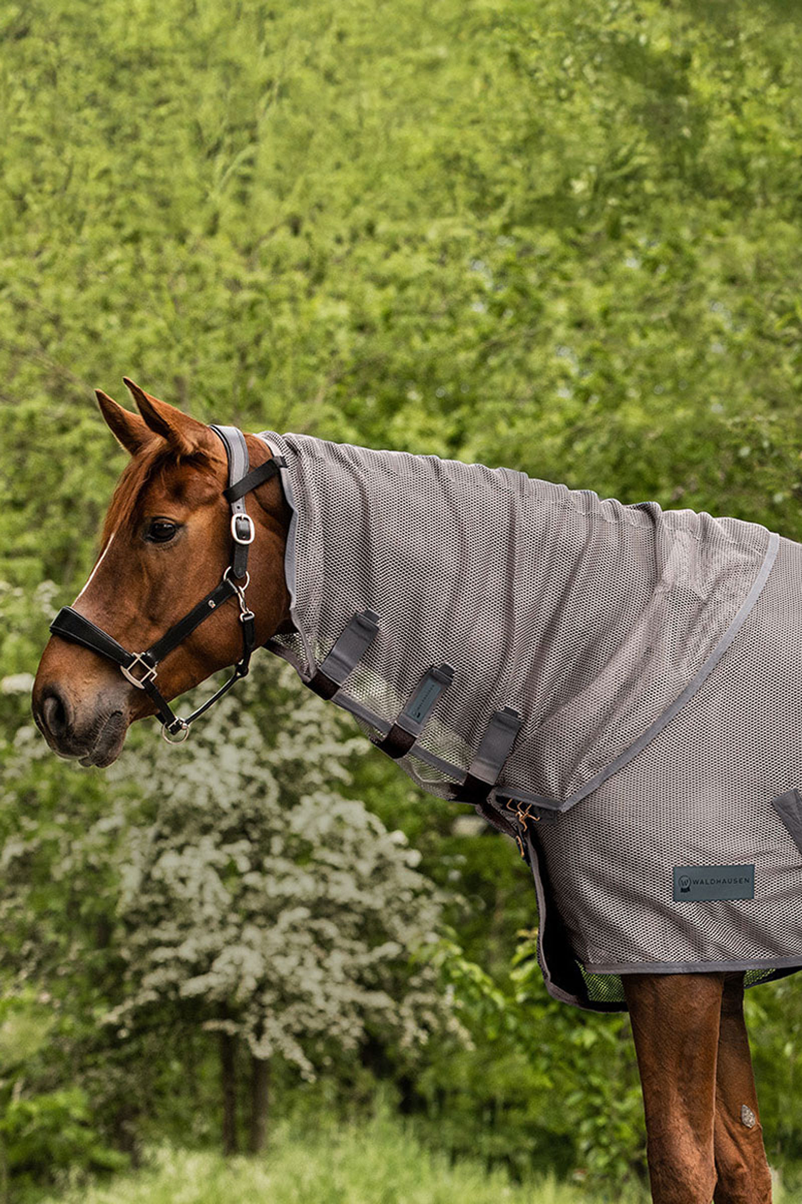 Waldhausen Comfort copricollo antimosche