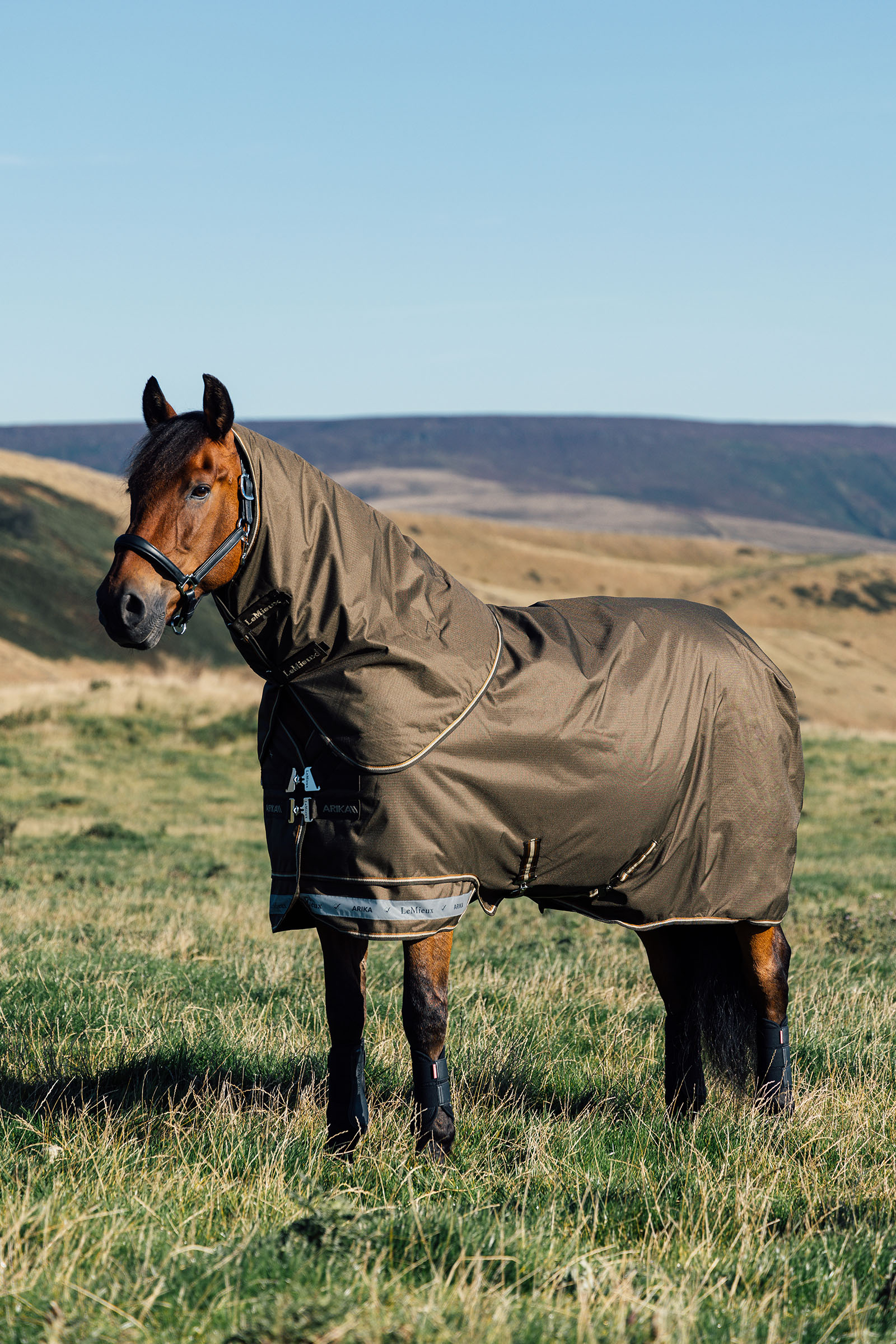 LeMieux Arika coperta Ripstop da paddock 50g