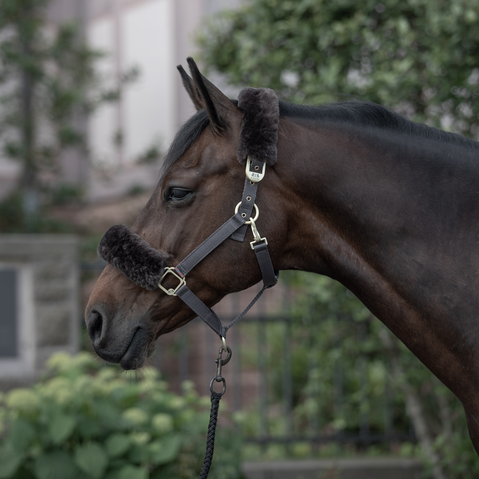 B Vertigo Laurier Capezza in pelle di pecora