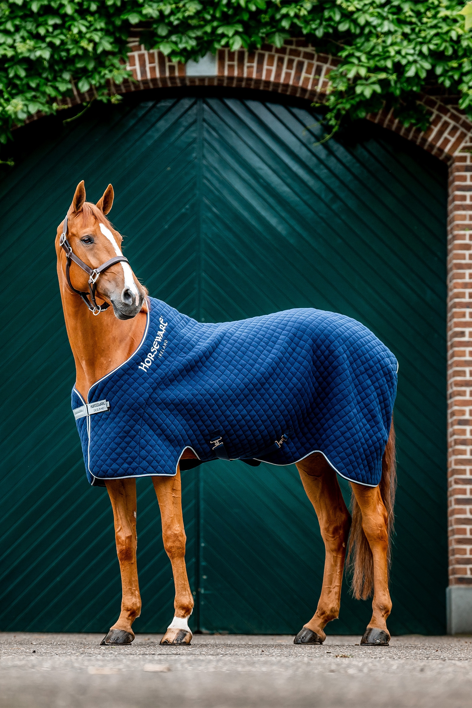 Navy/Navy Horseware Autumn Coperta dopolavoro