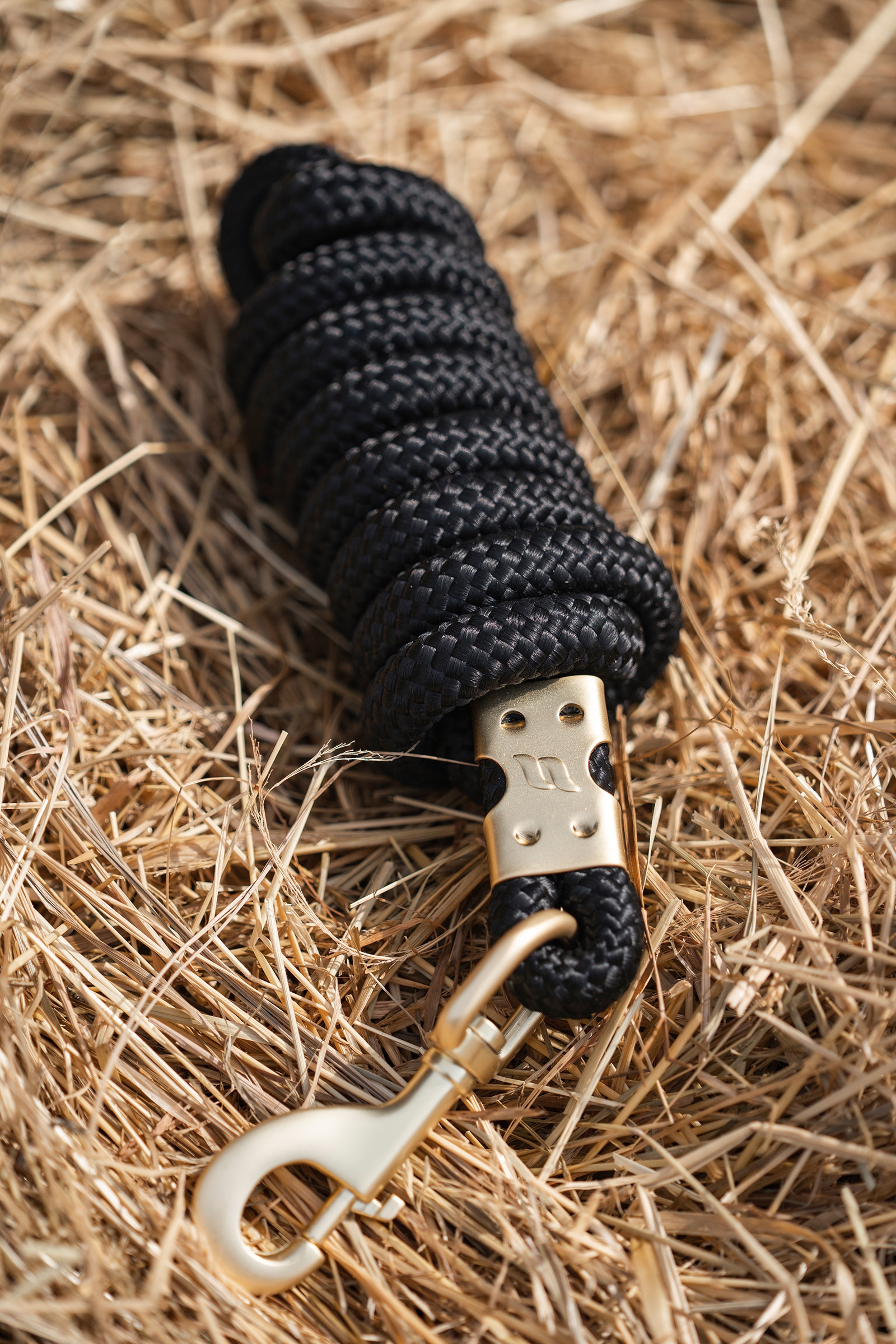 Di nuovo in pista Ace Lead Rope