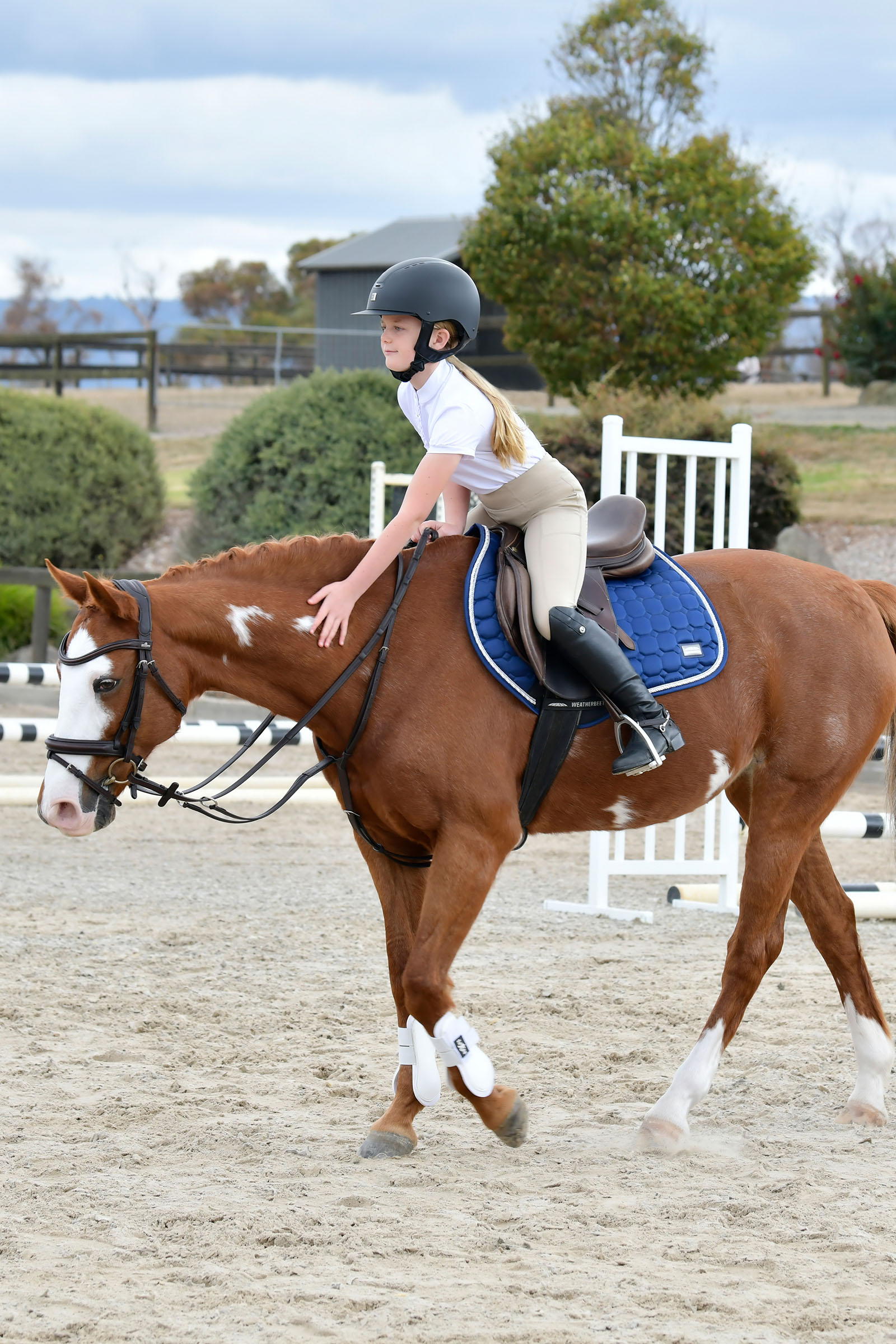 Collegiate Comfitec Opulux testiera semplice imbottita con capezzina combinata hannoveriana