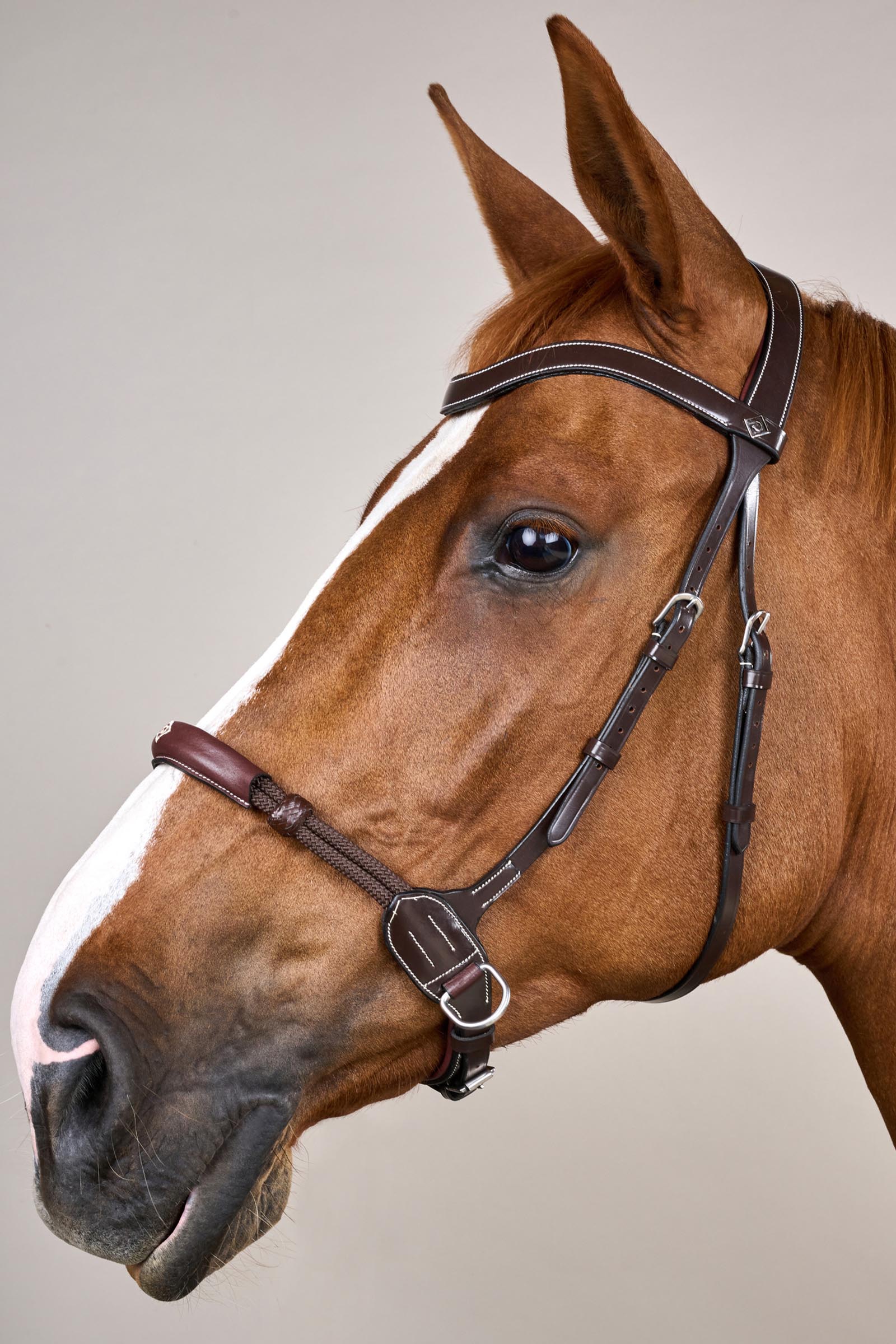 Dy'on Working briglia senza morso  