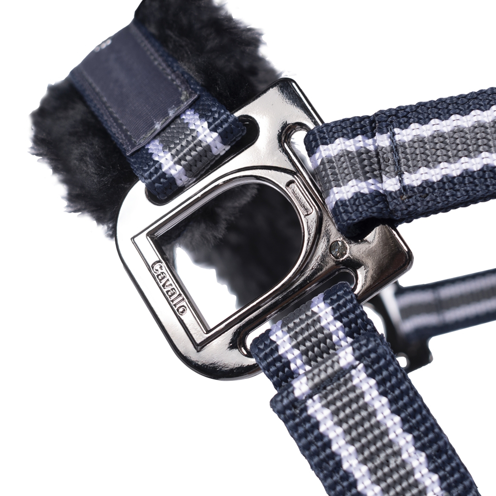 Cavallo CavalHelia Capezza