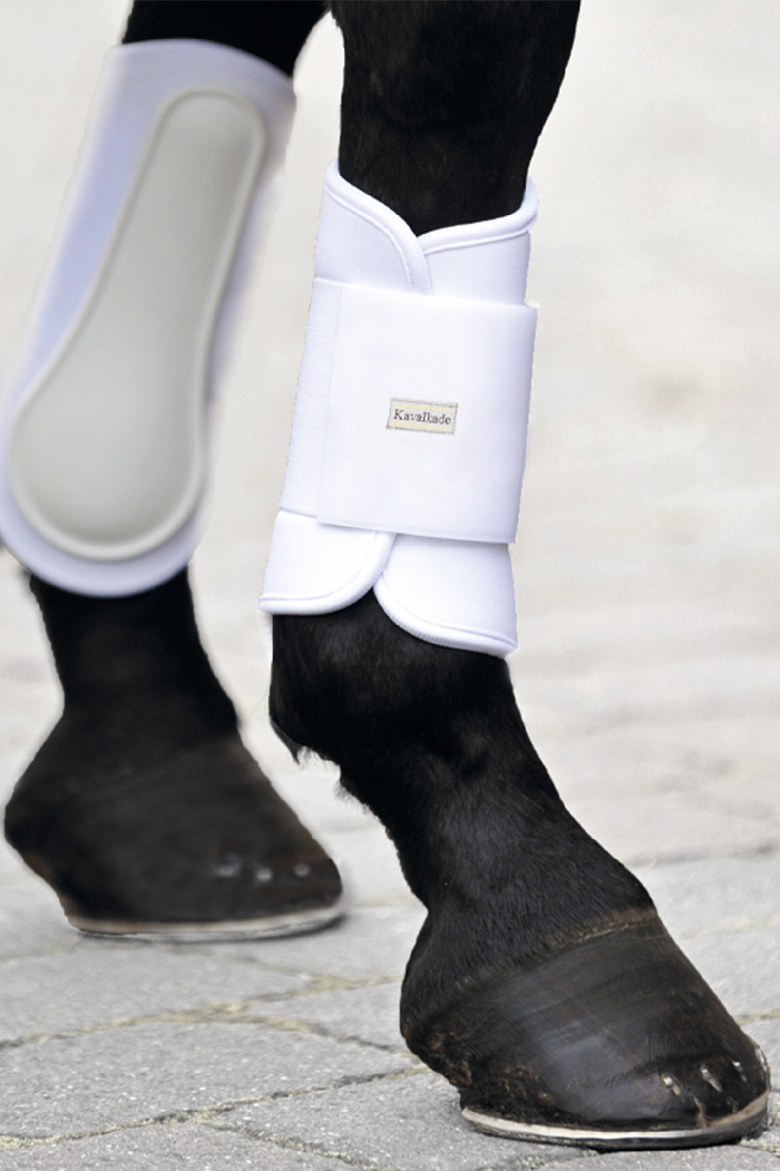 Stivali Kavalkade KavalPren Softy Brushing, davanti