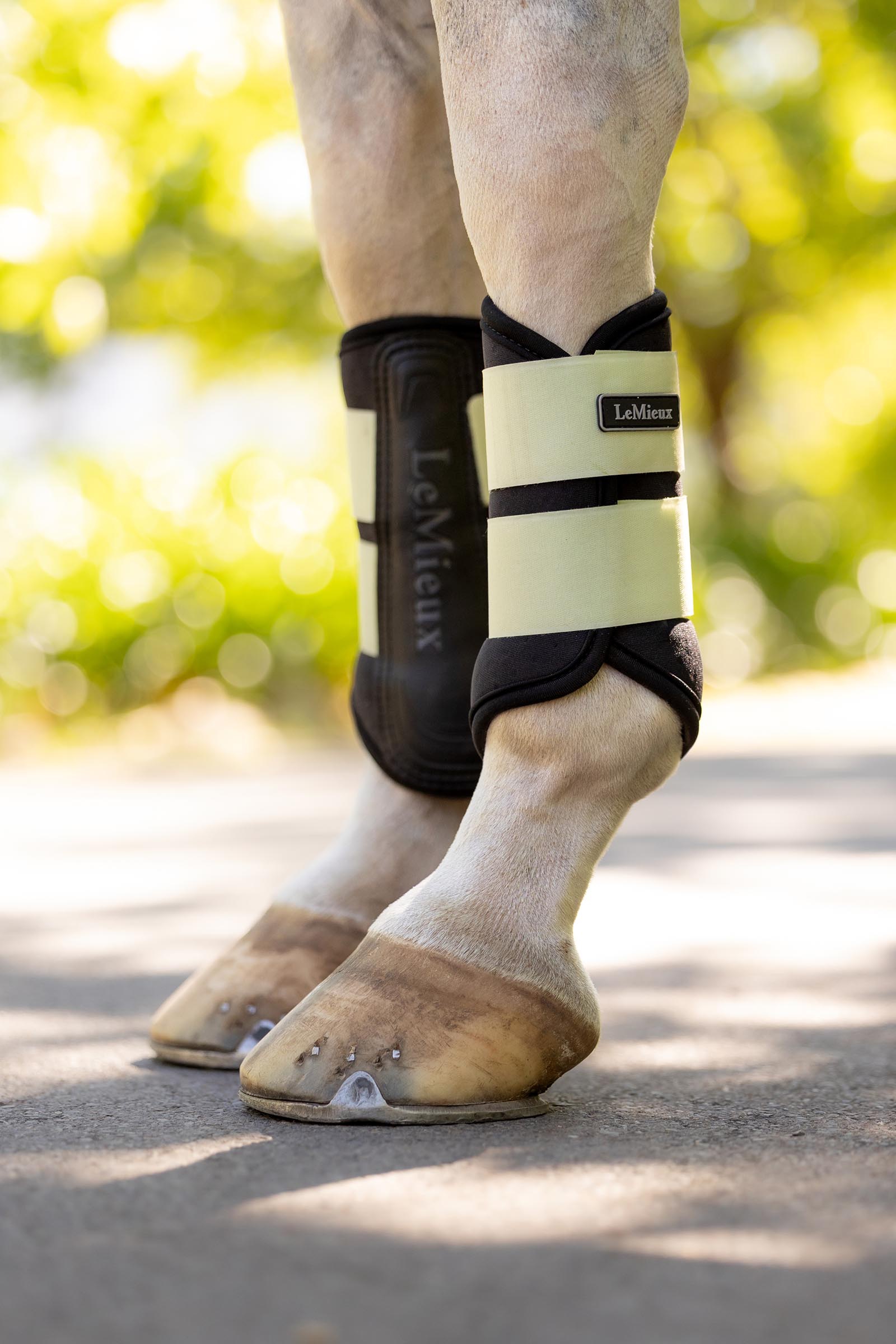 LeMieux Air-Tek Grafter stinchiere