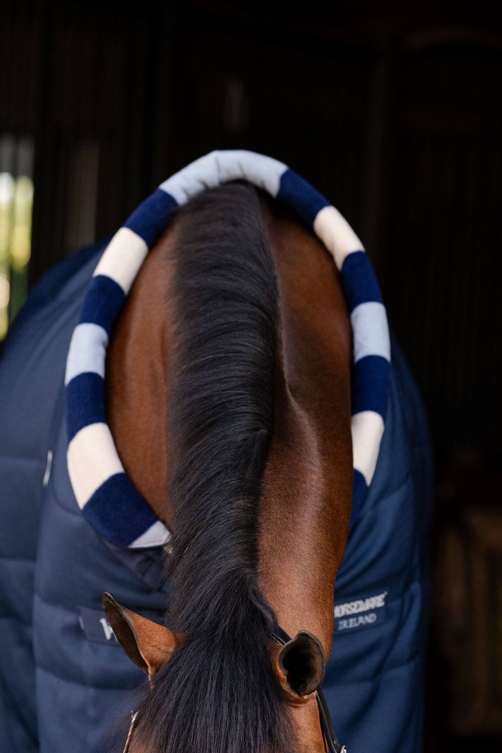 Horseware Newmarket Cosy Coperta da stalla 100g