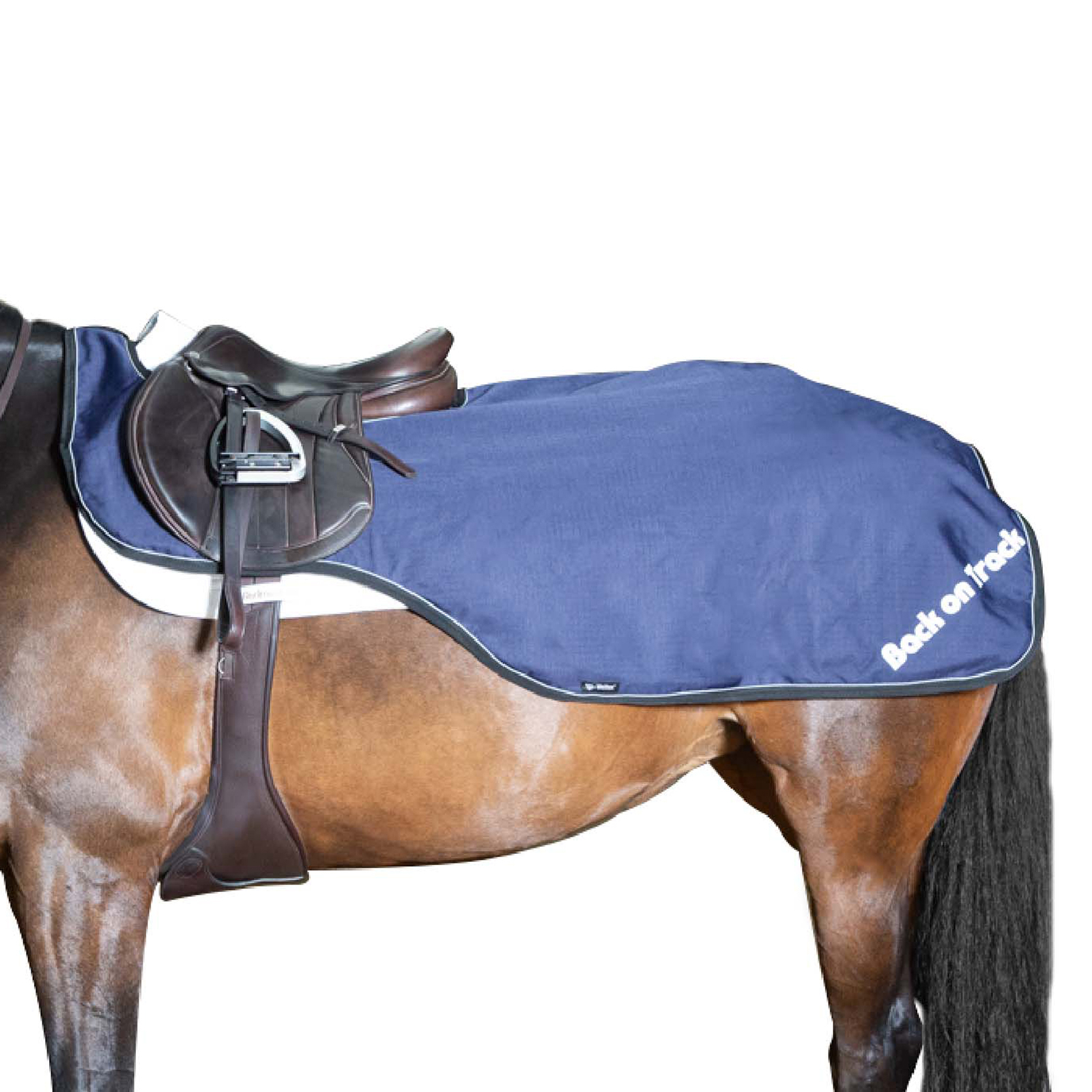 Back on Track Sammy Coperta da equitazione, 50 g