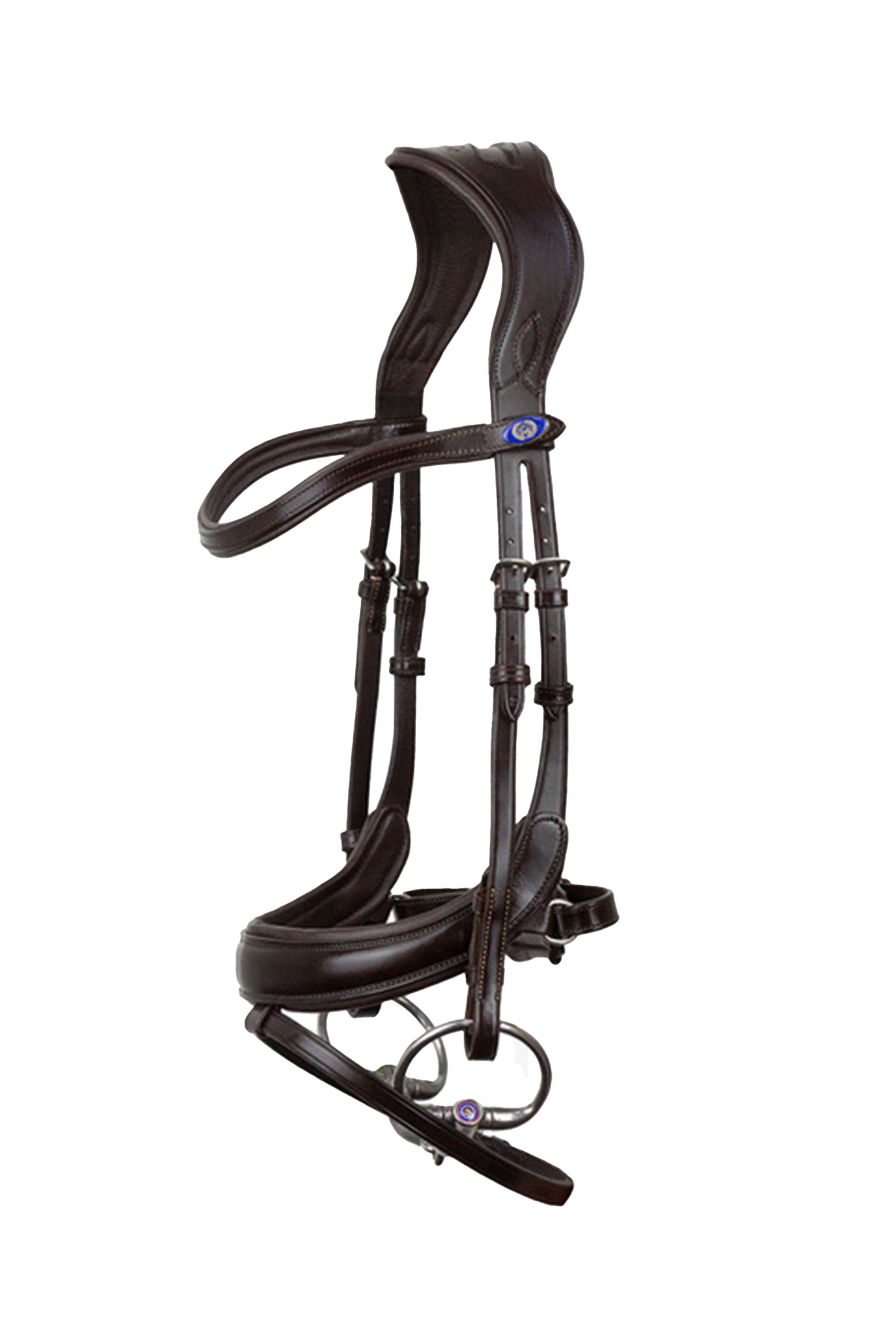 PS of Sweden Paladin briglia