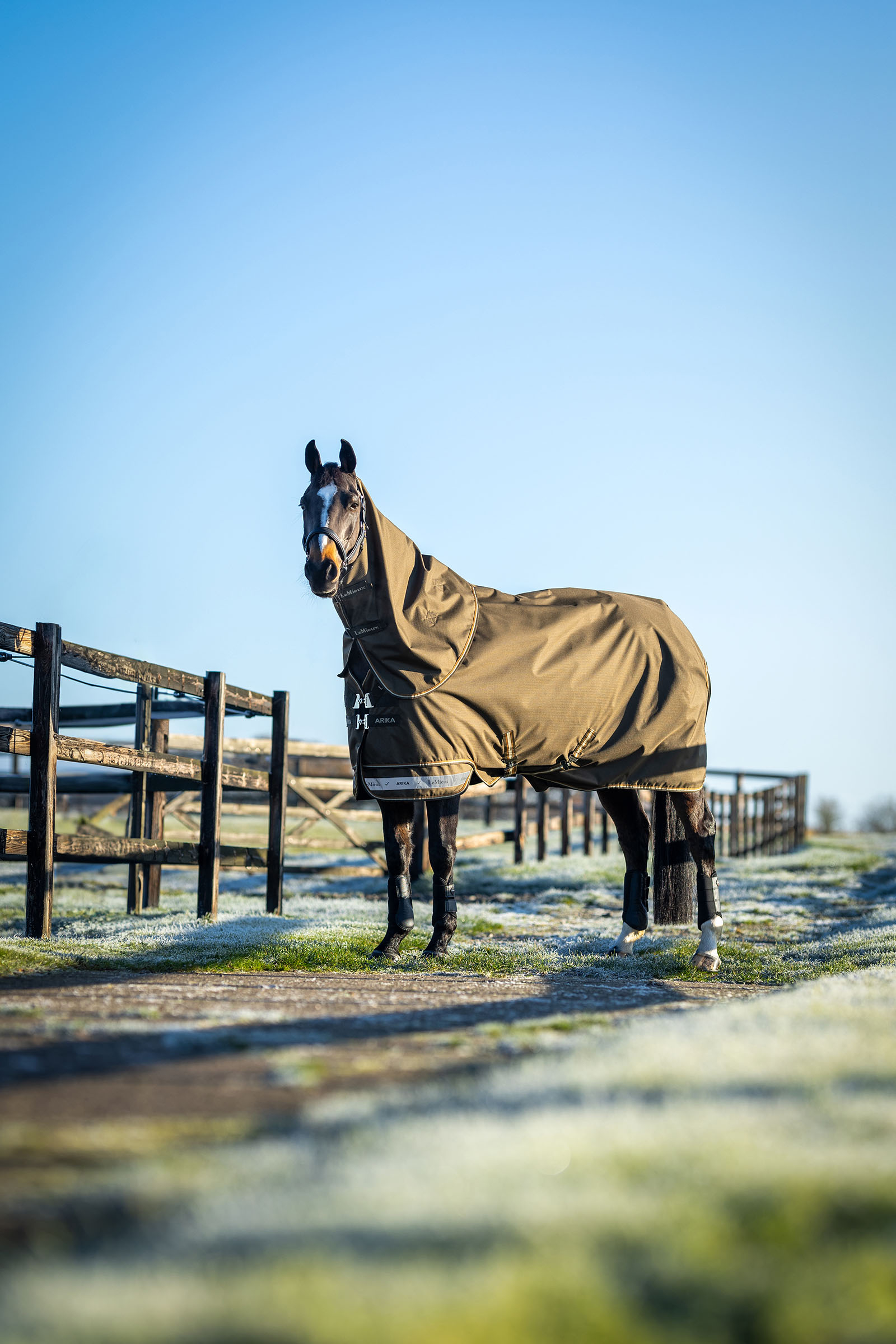 LeMieux Arika coperta Ripstop da paddock 50g