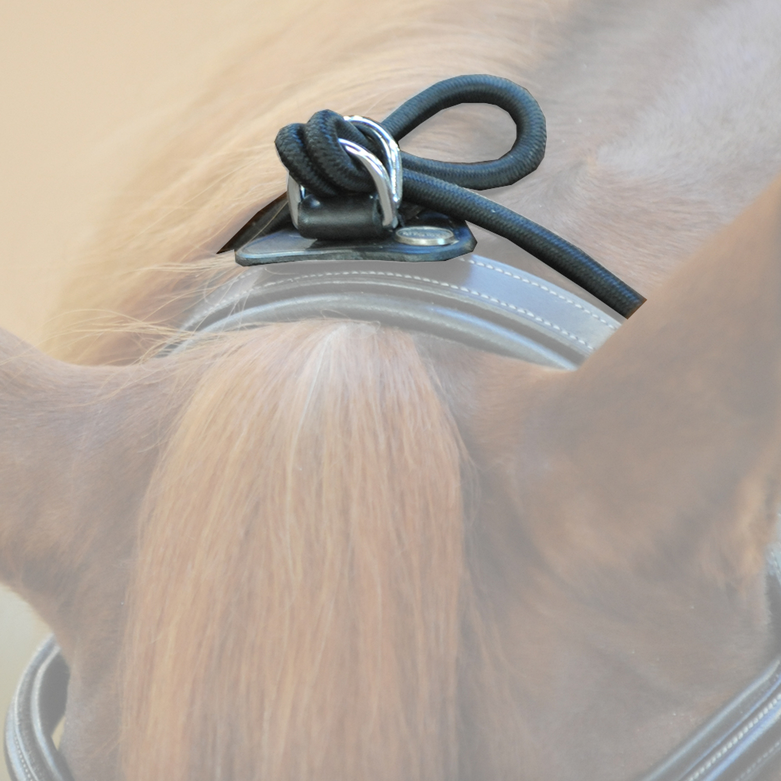 Bungie Kavalkade, elastico