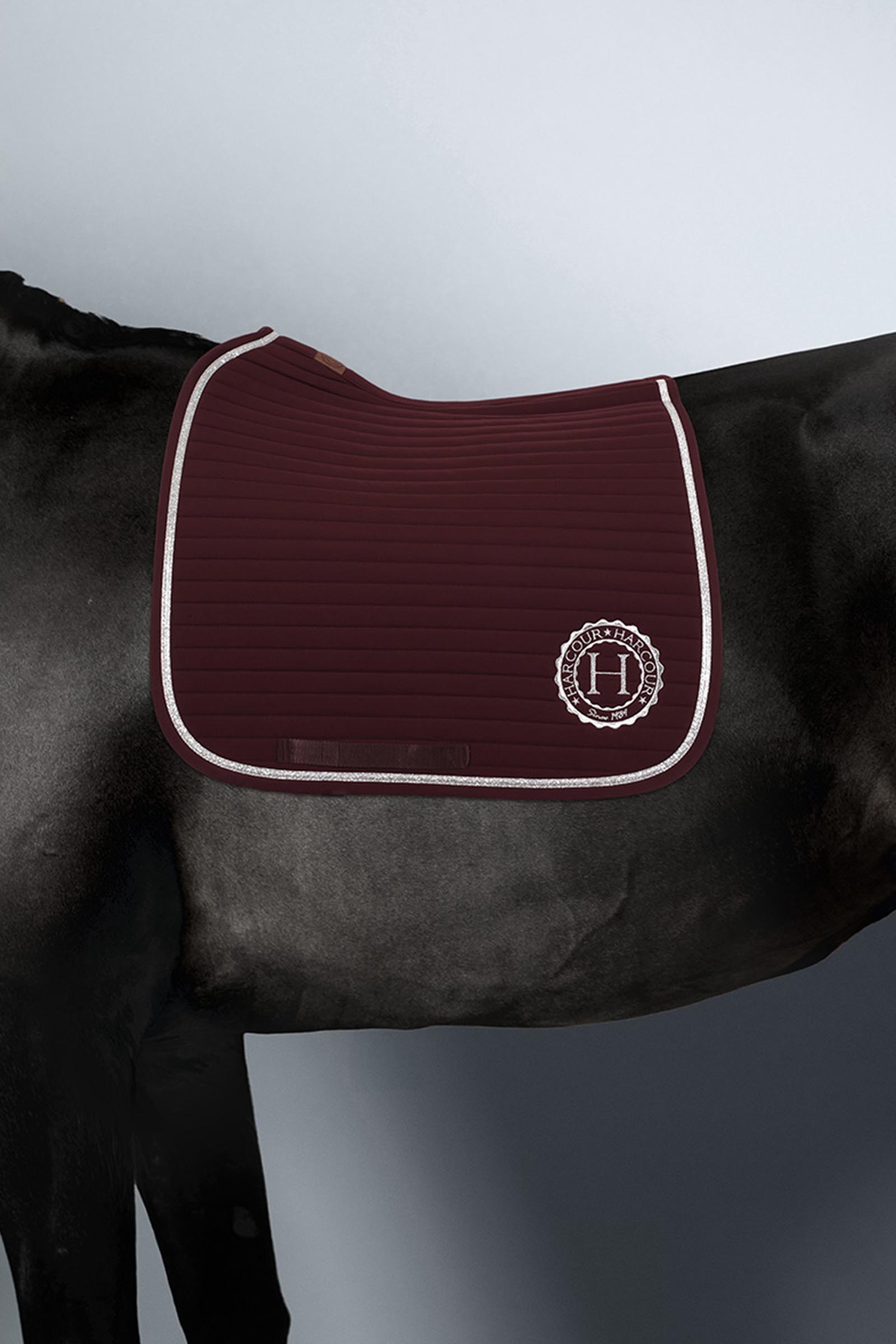 Aubergine  Harcour Karembar sottosella Rider Pony
