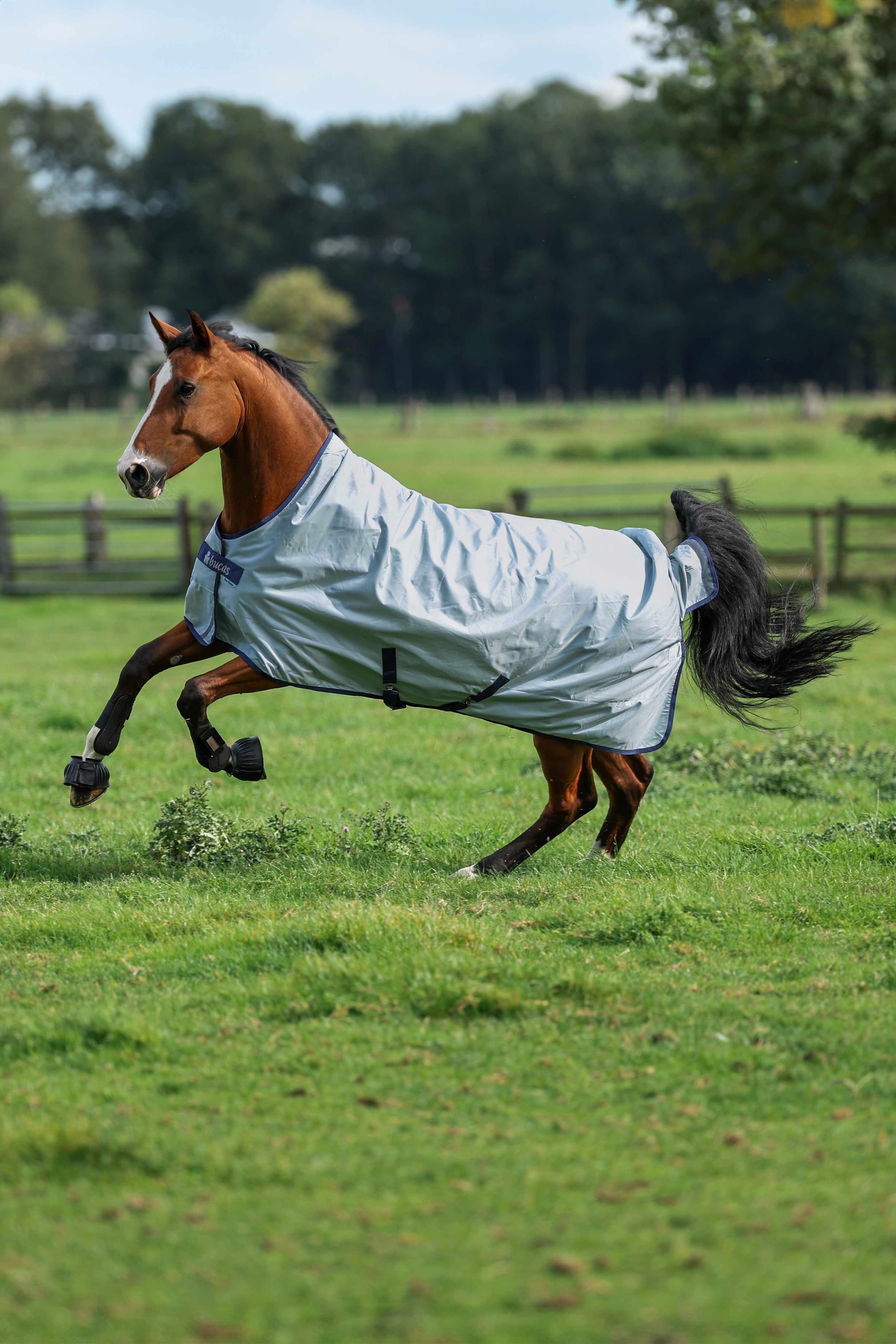 Bucas Power Light coperta da paddock con collo alto, 0 g