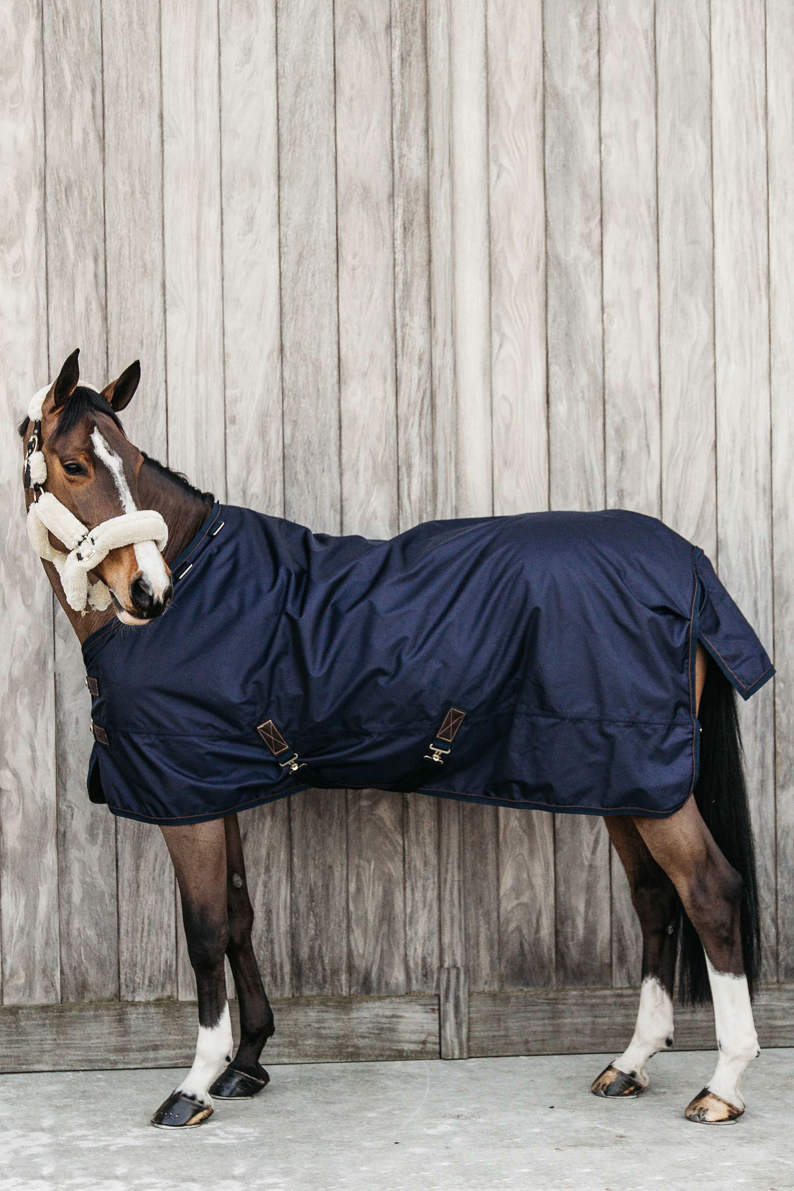 DB/AB Kentucky Horsewear Coperta da turnout All Weather, 160 gr