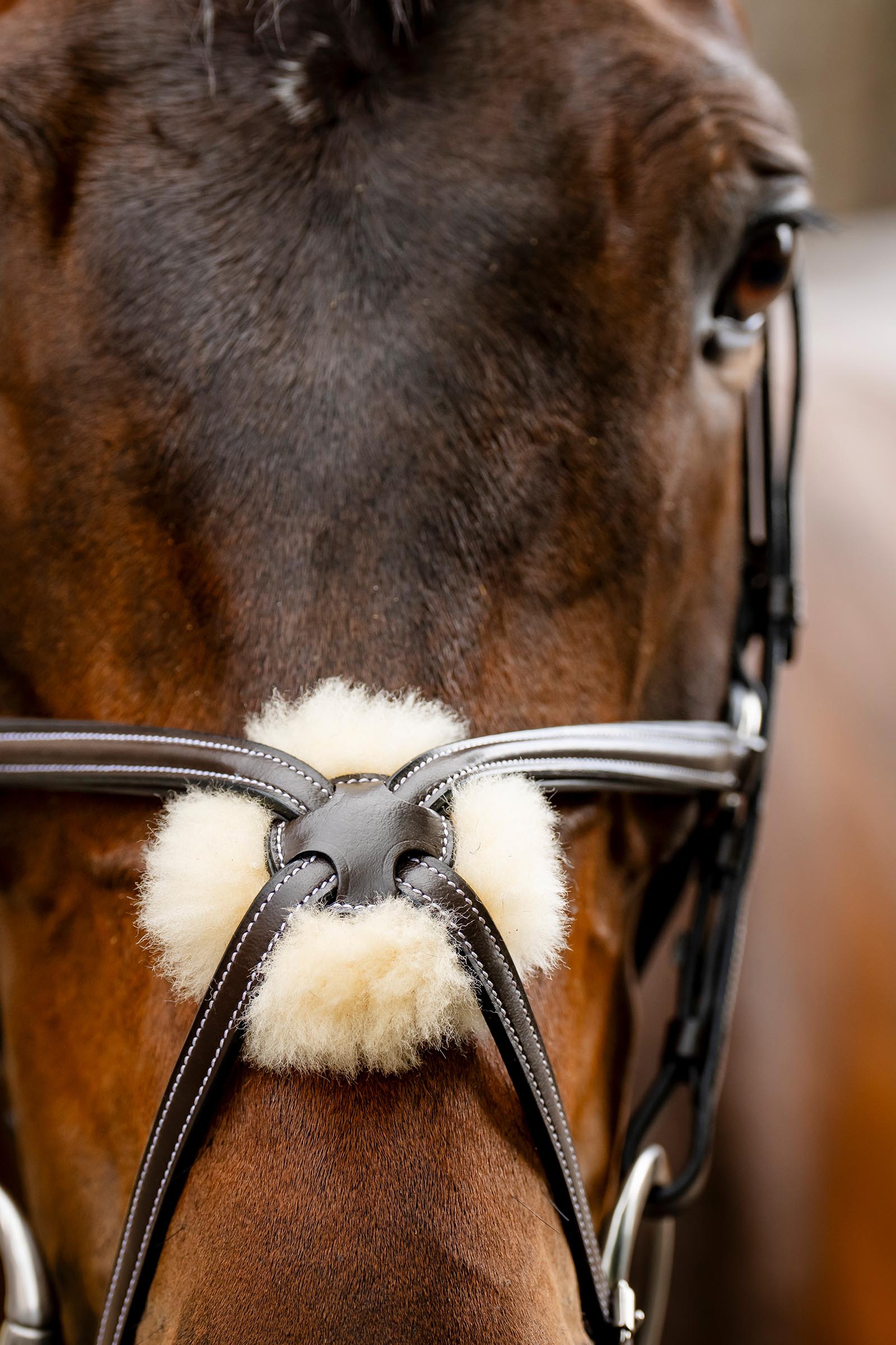 Horseware briglia con capezzina a otto