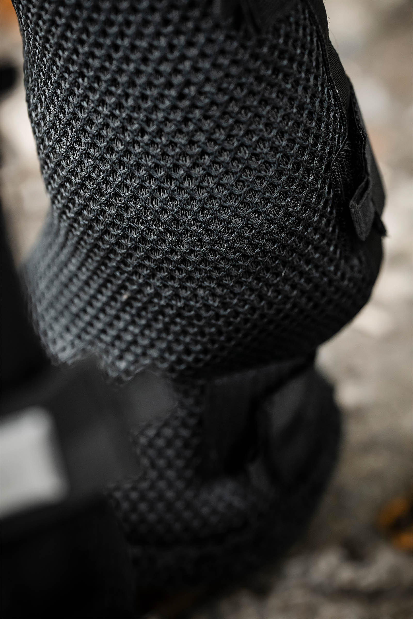 Horseware Show Ready fasce