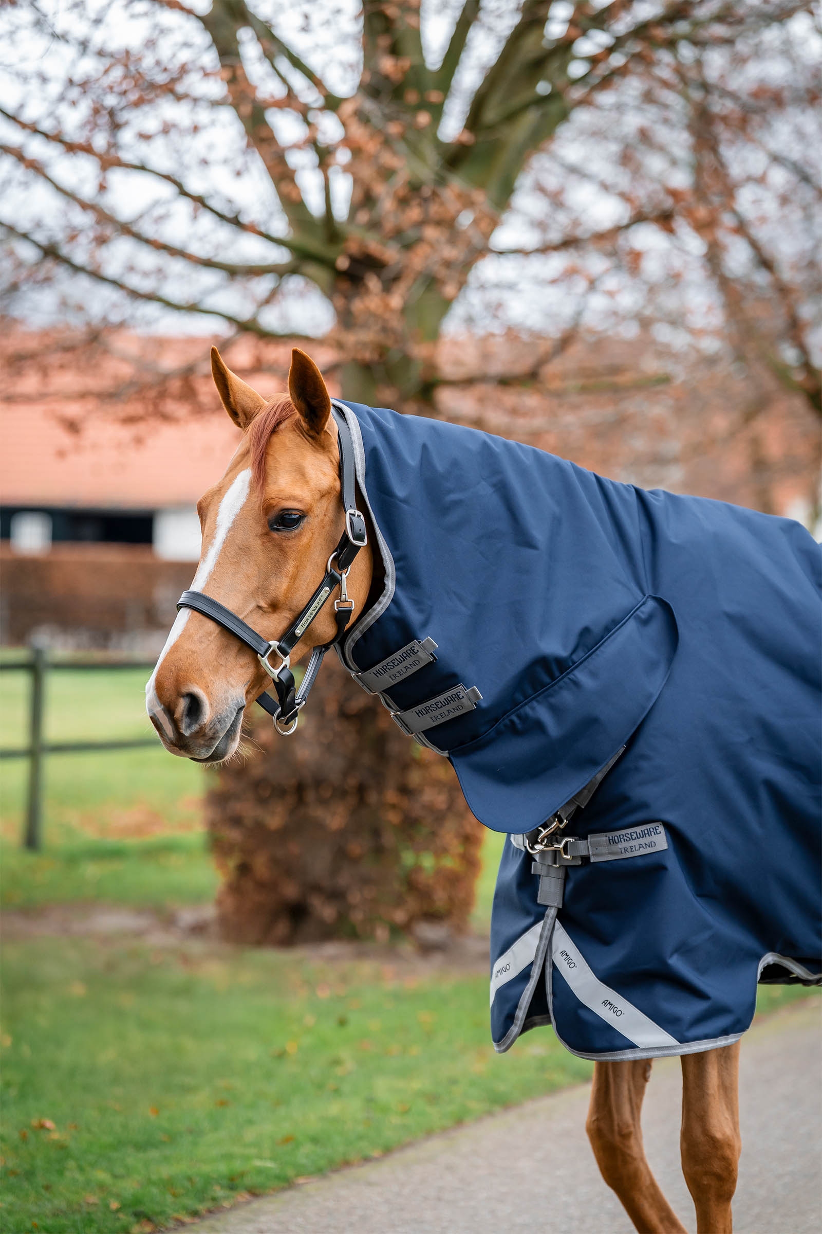 Horseware Amigo 1200D coperta turnout integrata 250 g