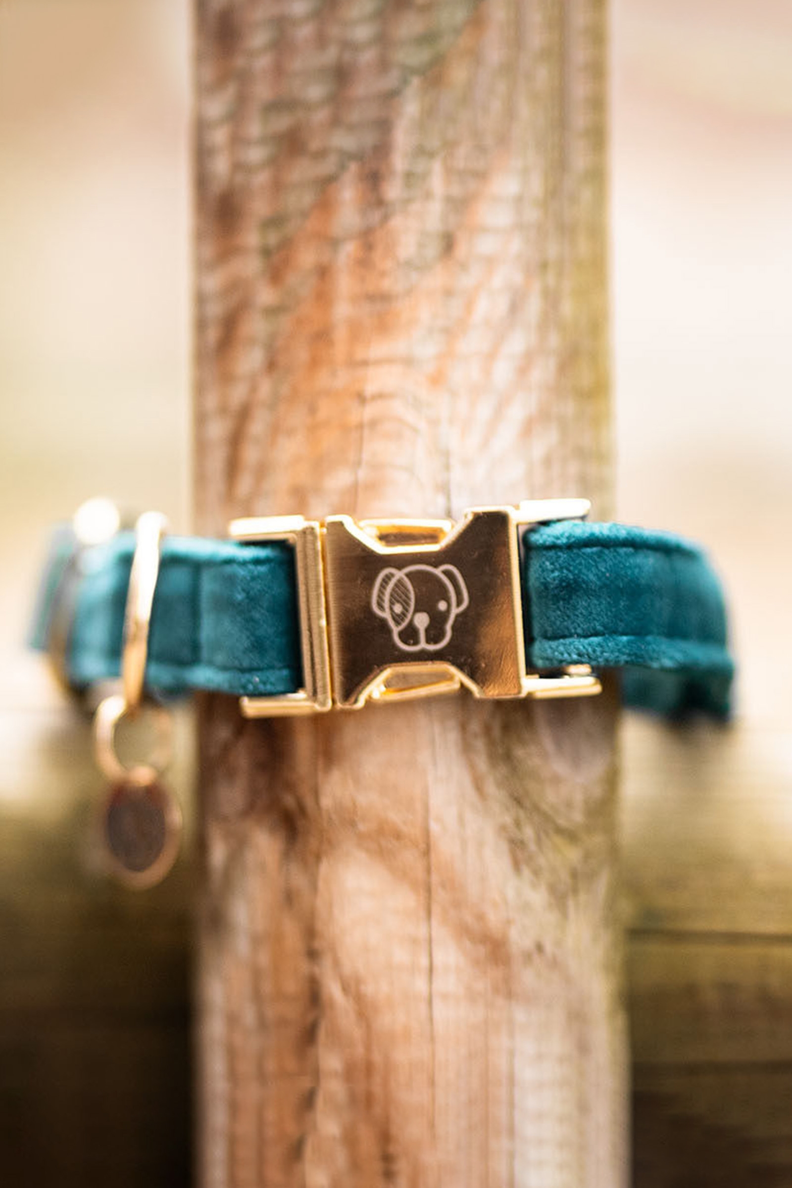 Kentucky Dogwear Collare per cani in velluto