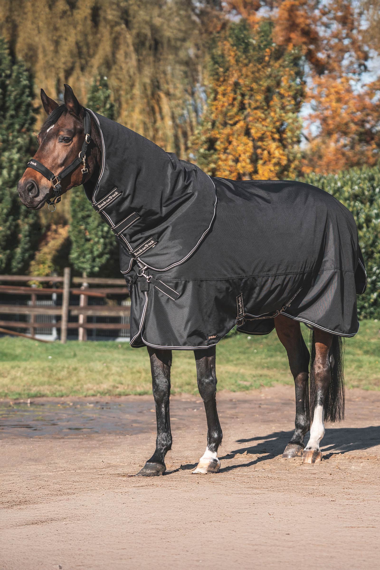 Back on Track Obsidian Coperta da paddock con collo staccabile, 150g