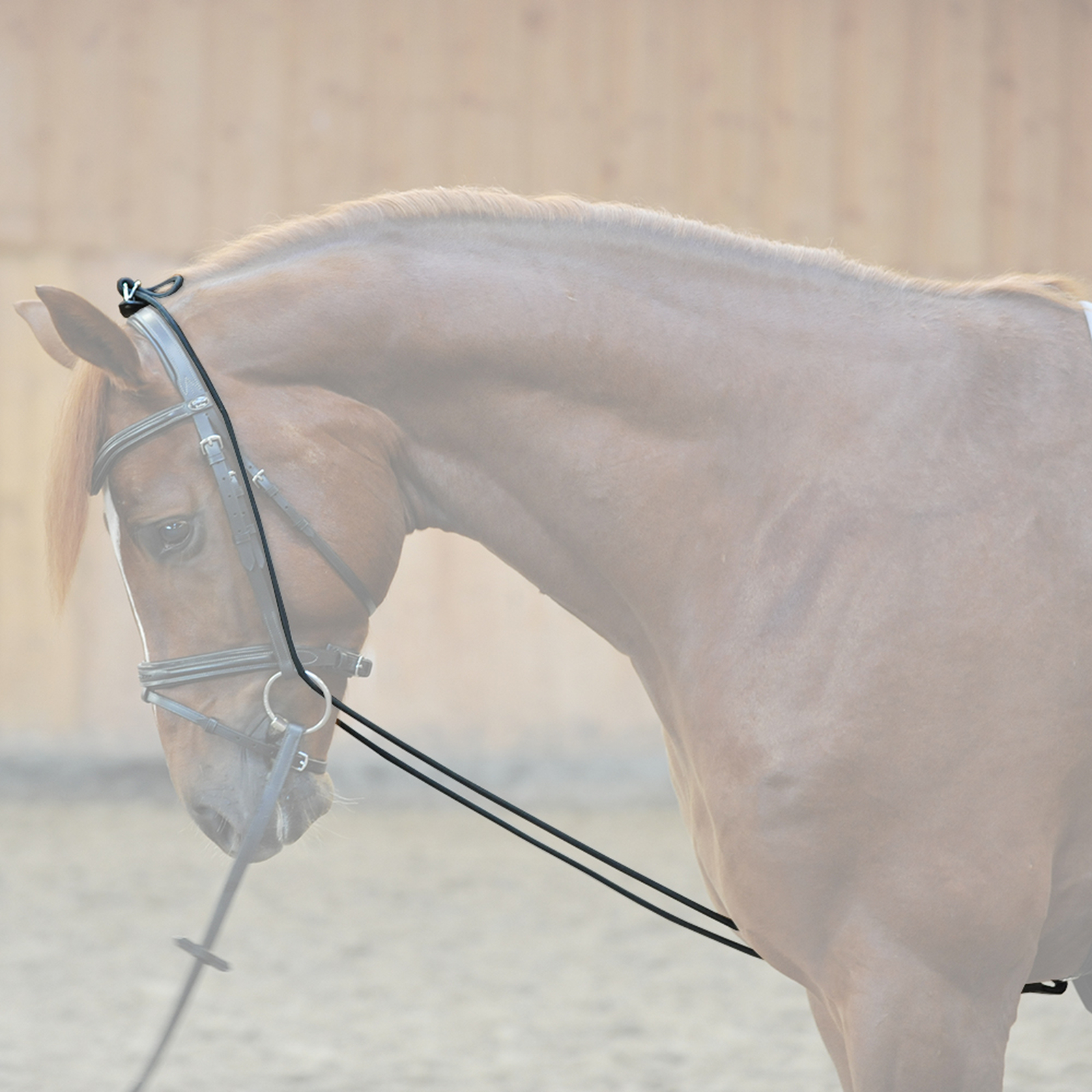 Bungie Kavalkade, elastico