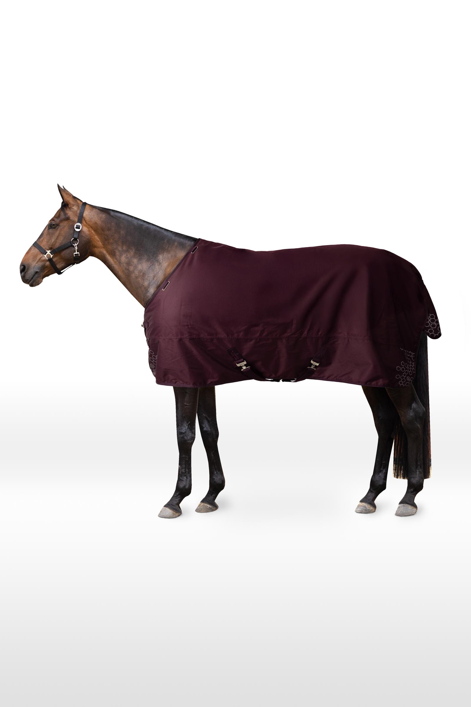 Horze Newbridge coperta da paddock, 100g