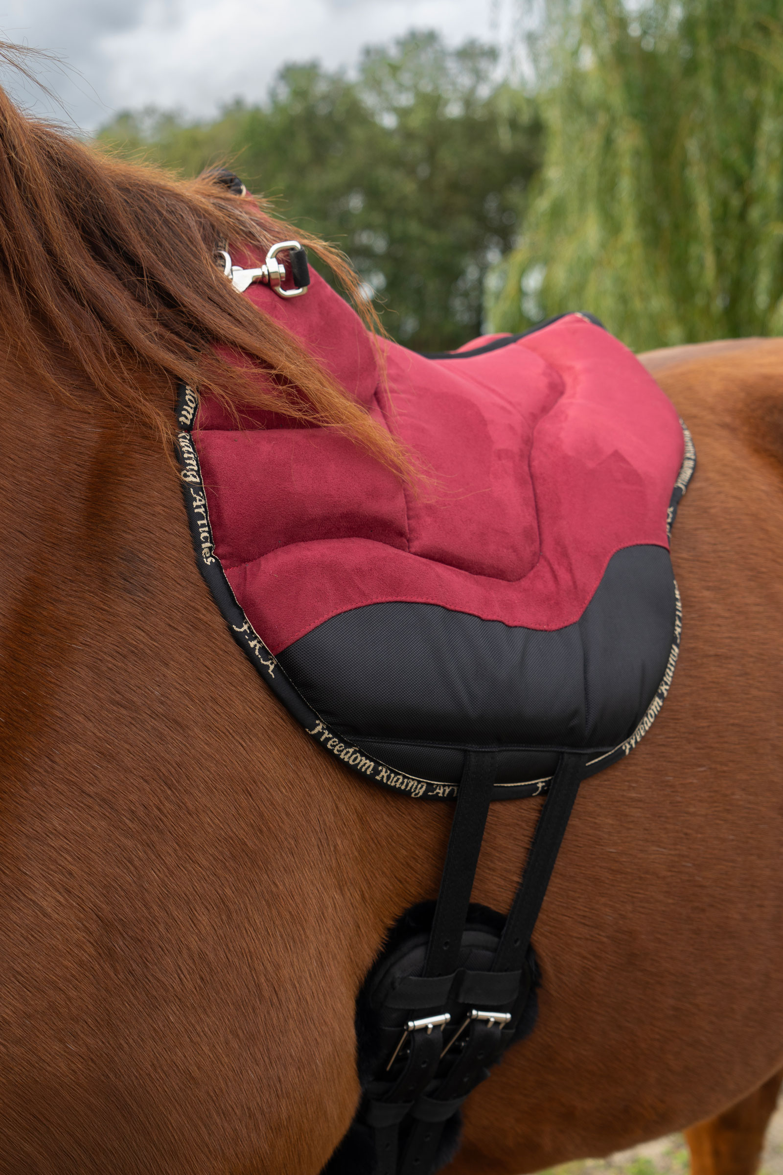 F.R.A. Freedom Riding Articles Pad da equitazione Dardo basic  