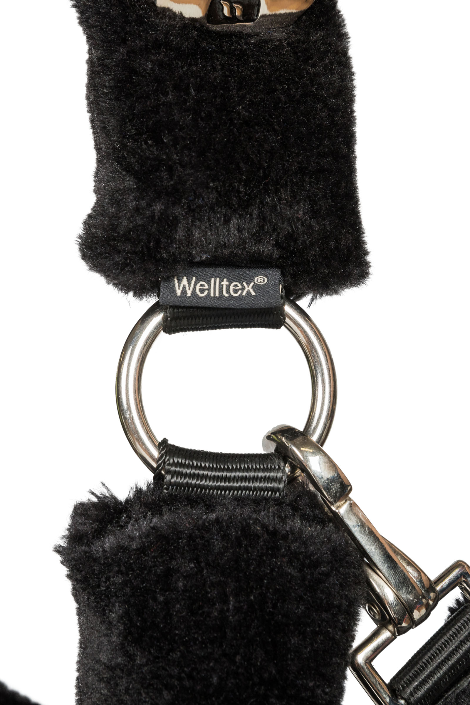 Back on Track Audrey cavezza