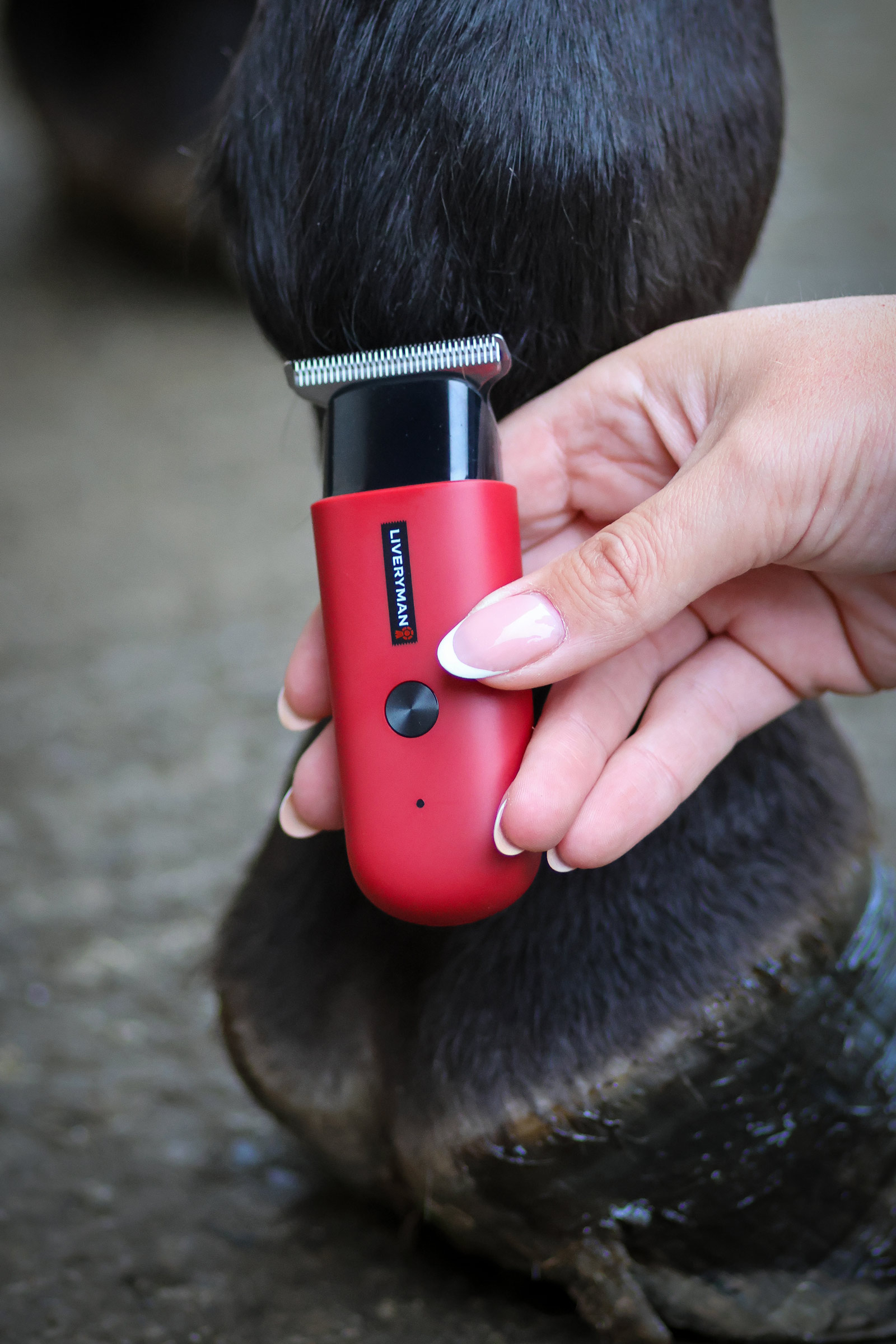 Liveryman Robin Tosatrice per rifiniture per cavalli