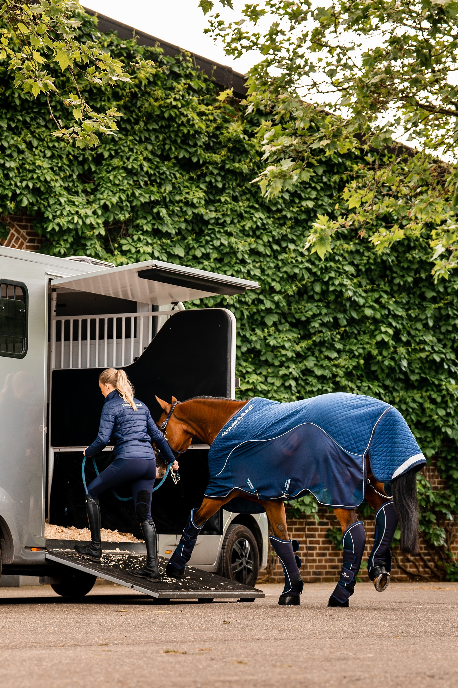 Horseware Signature Gambali da Trasporto